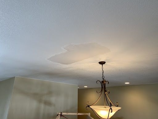  for Patch Pros LLC in Denver, CO