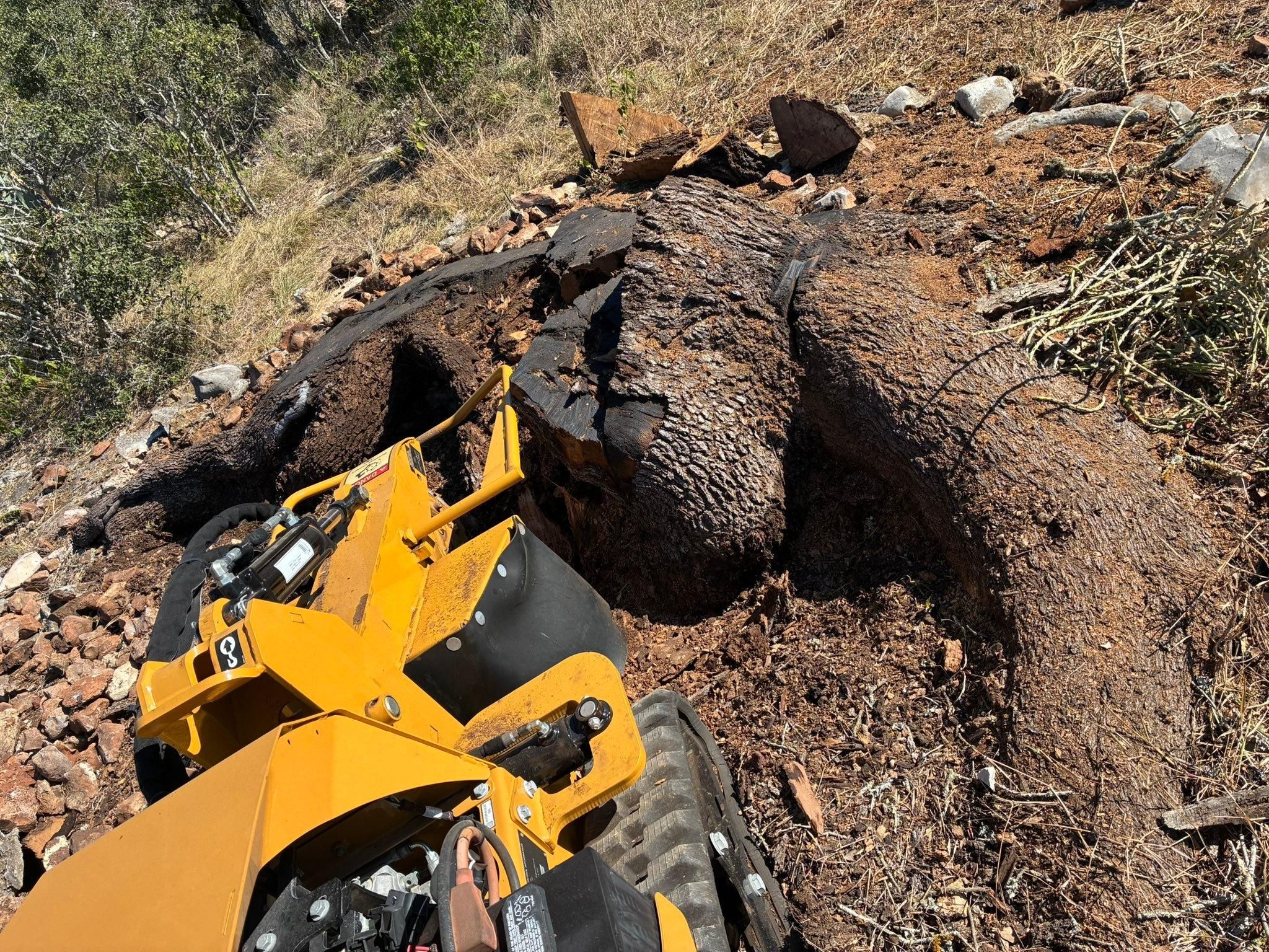  for C & C Lawn Care and Maintenance in New Braunfels, TX