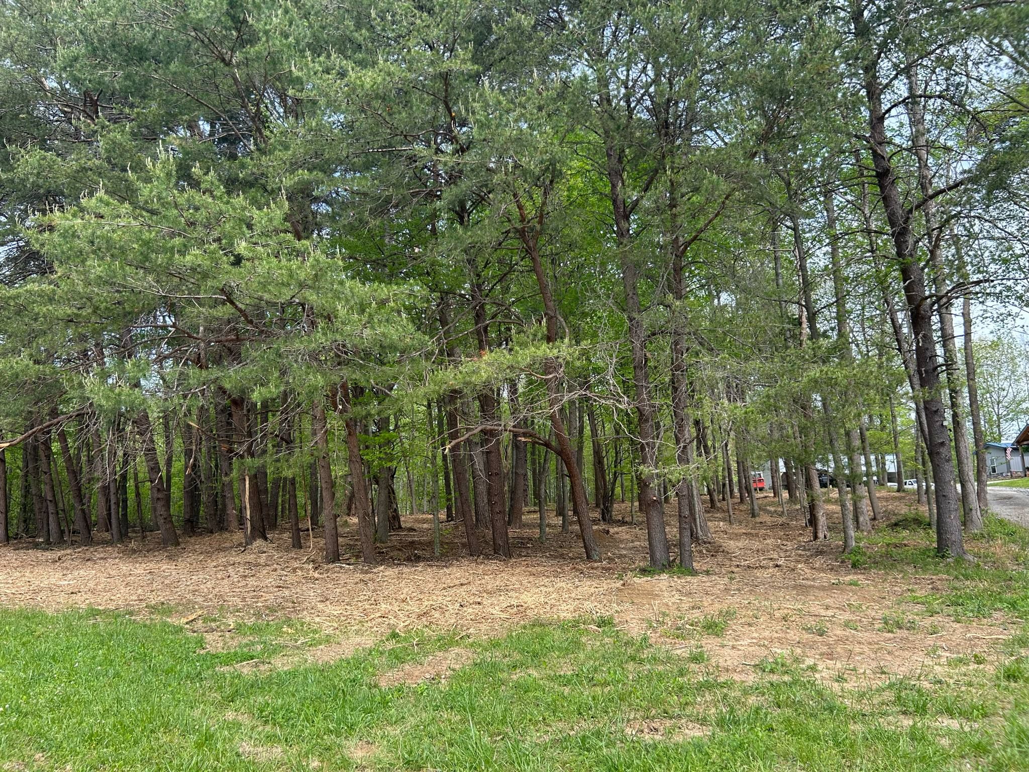 for Z's Land Management & Forestry Mulching in Smithville, TN