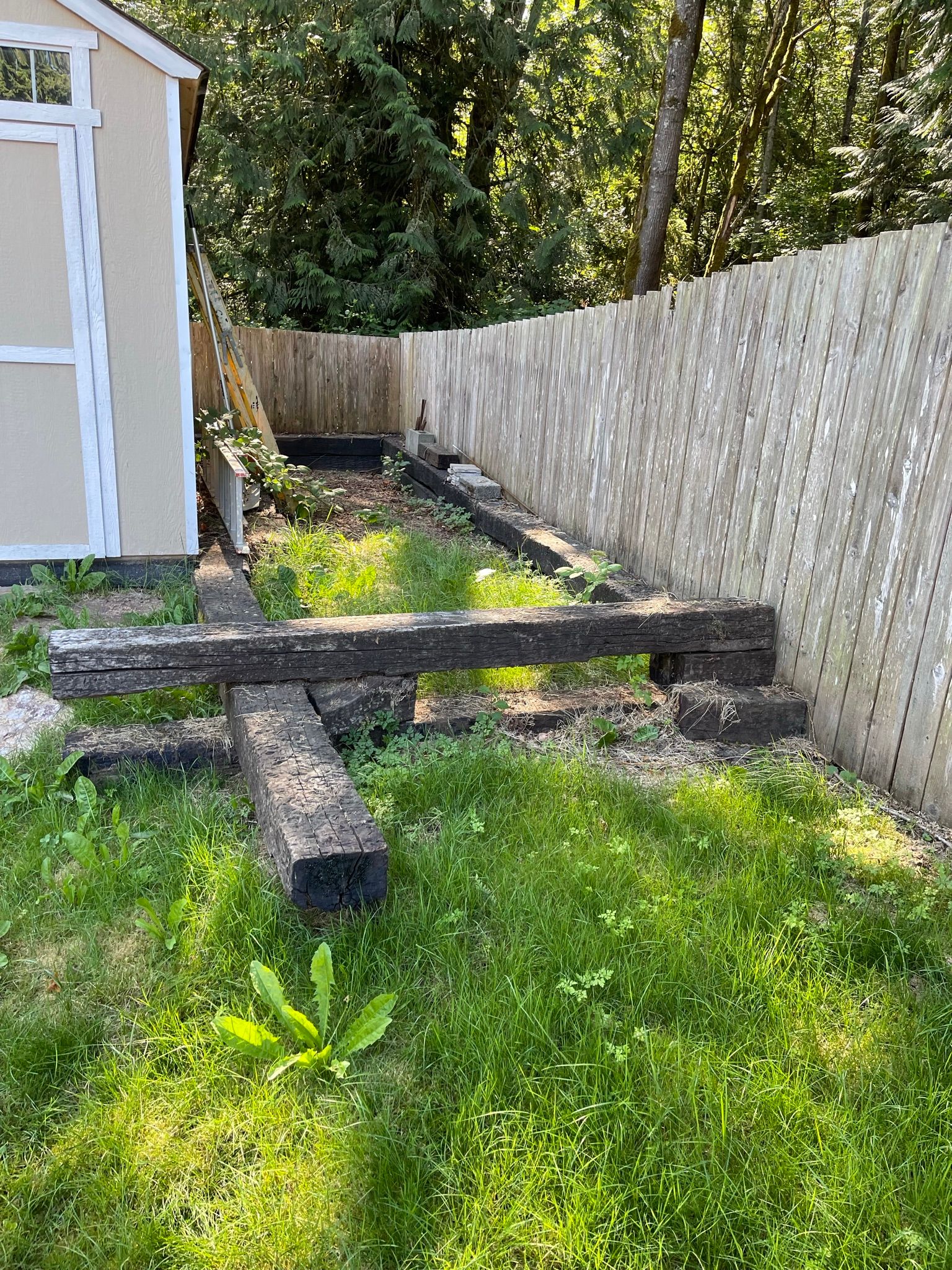  for Tony's Remodeling & Painting in Renton, WA