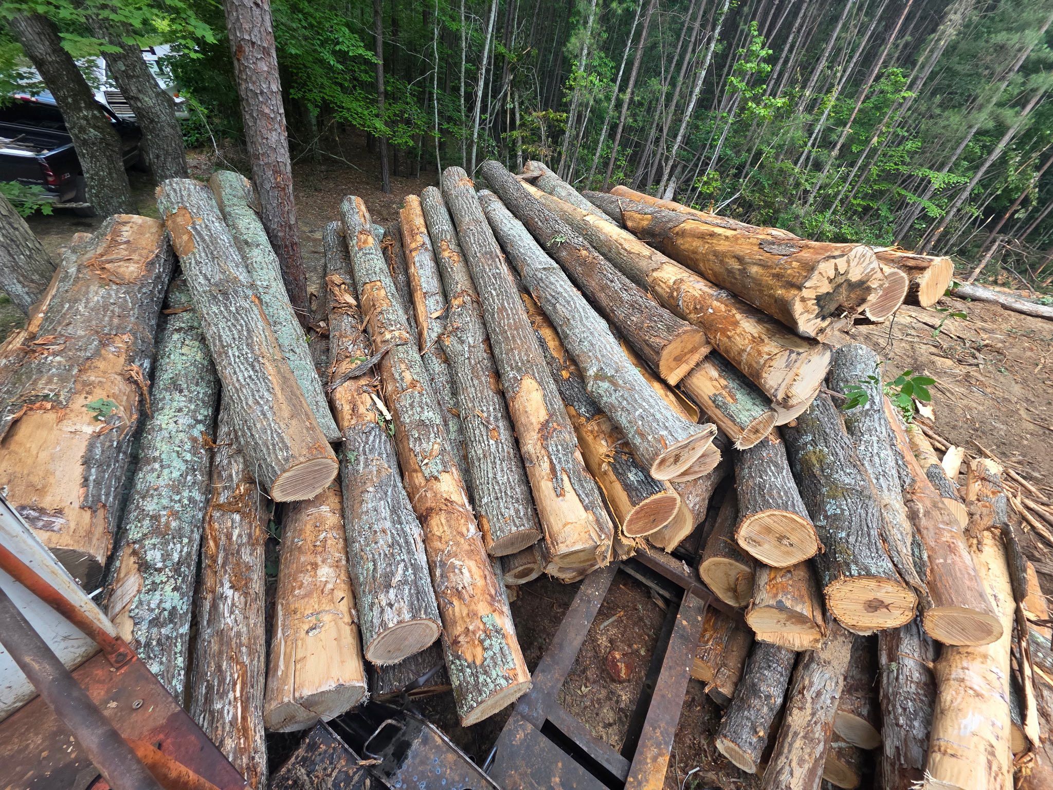  for 9 Oaks Tree Service and Excavation in Drakes Branch, VA