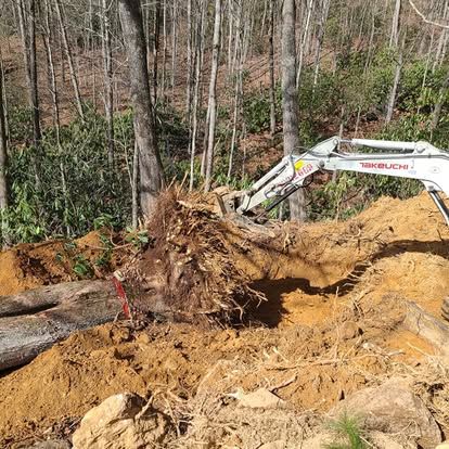  for Lopez Landscaping and Tree Service  in Waynesville, NC