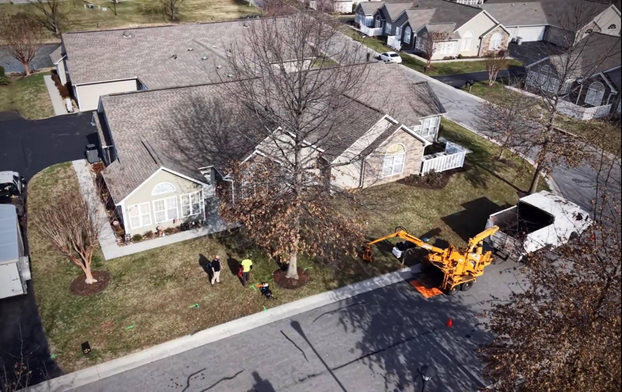  for Hamlett Tree Service LLC in Clover, VA