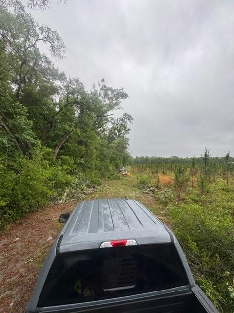  for All Seasons Tree and Land Works in Trenton, FL