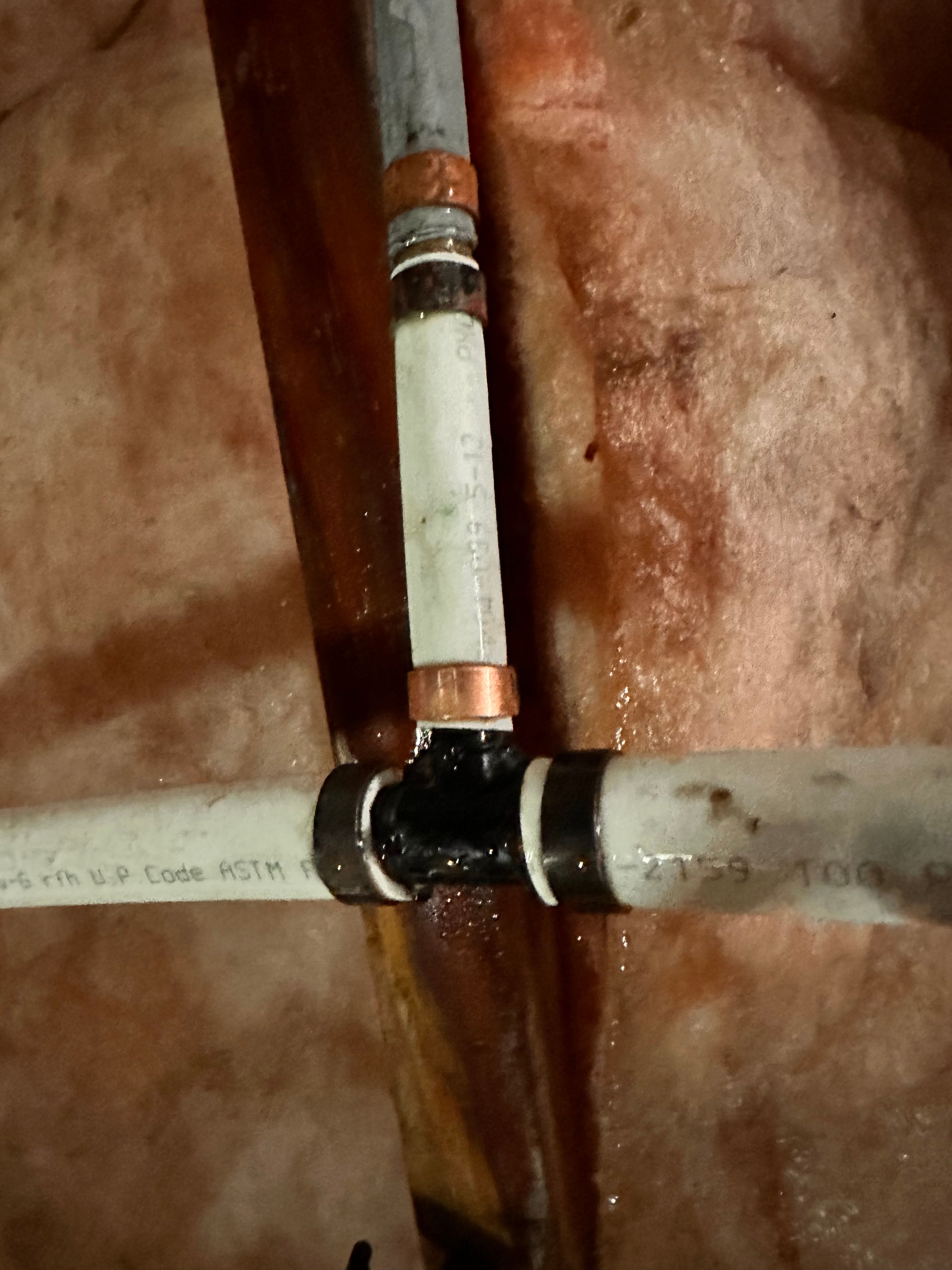  for Purified Plumbing Services INC in Roxboro, NC