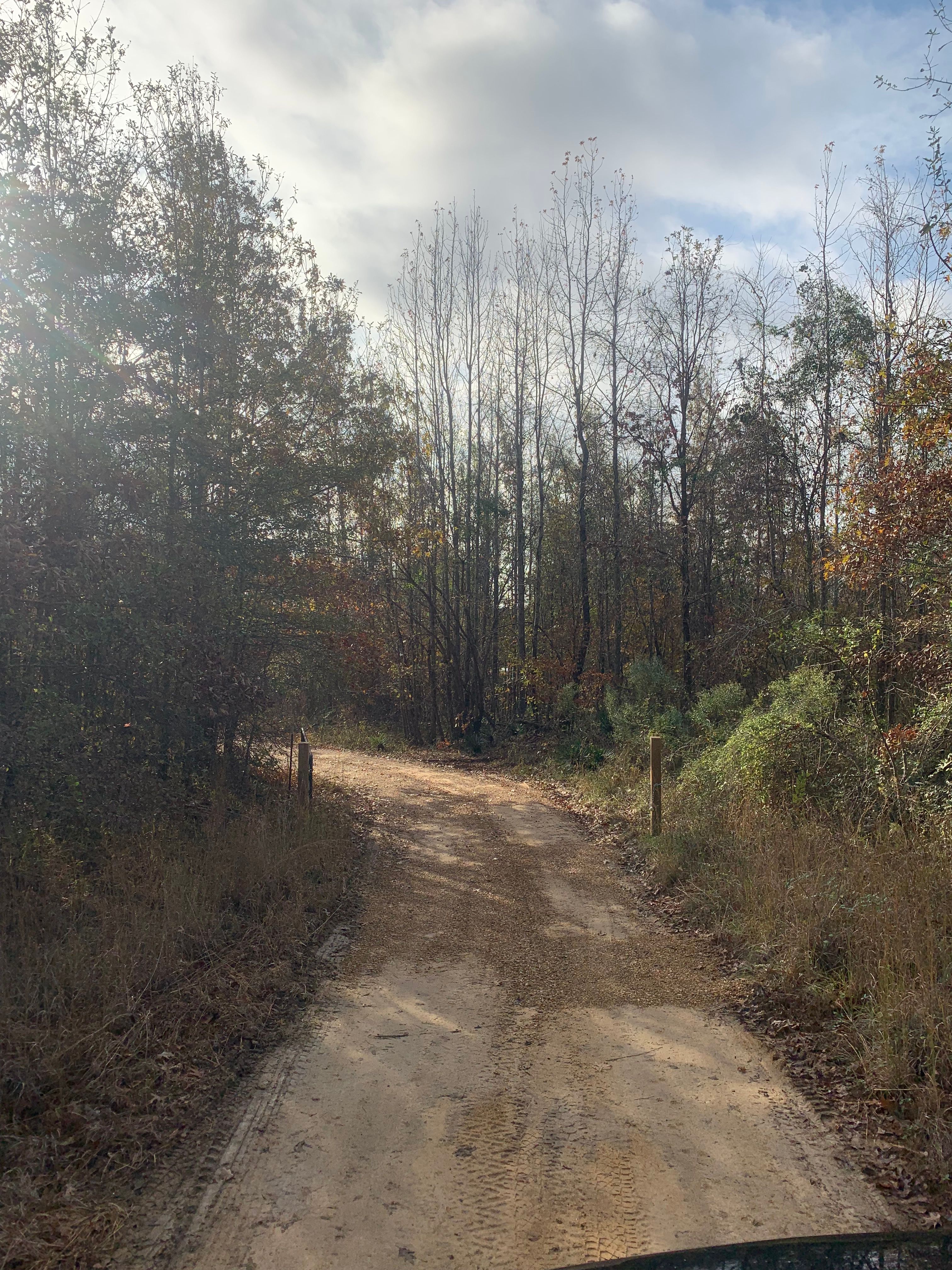  for Polasini Land Development in Starkville, MS