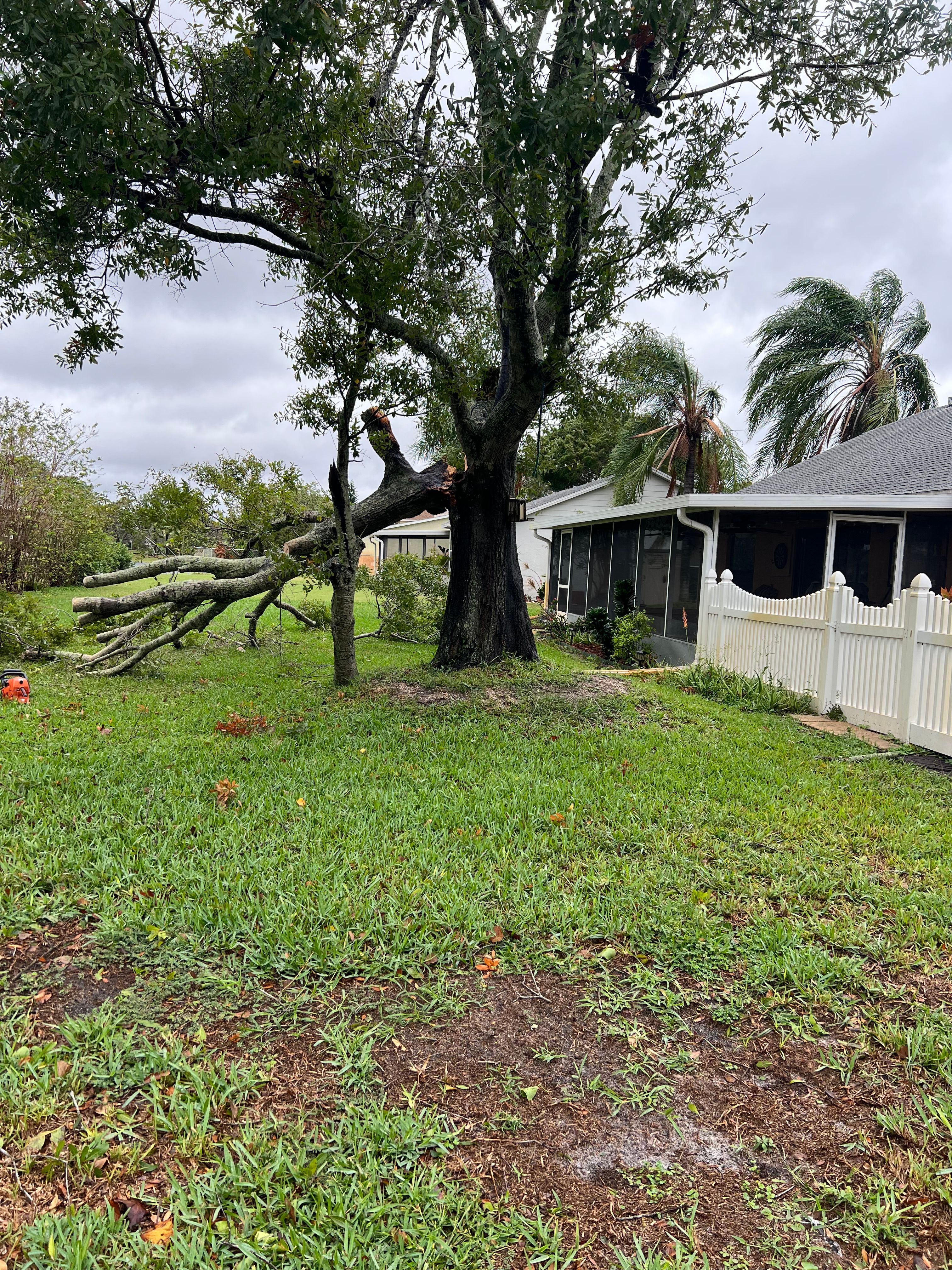  for Space Coast Property Maintenance and Management LLC in Melbourne, FL