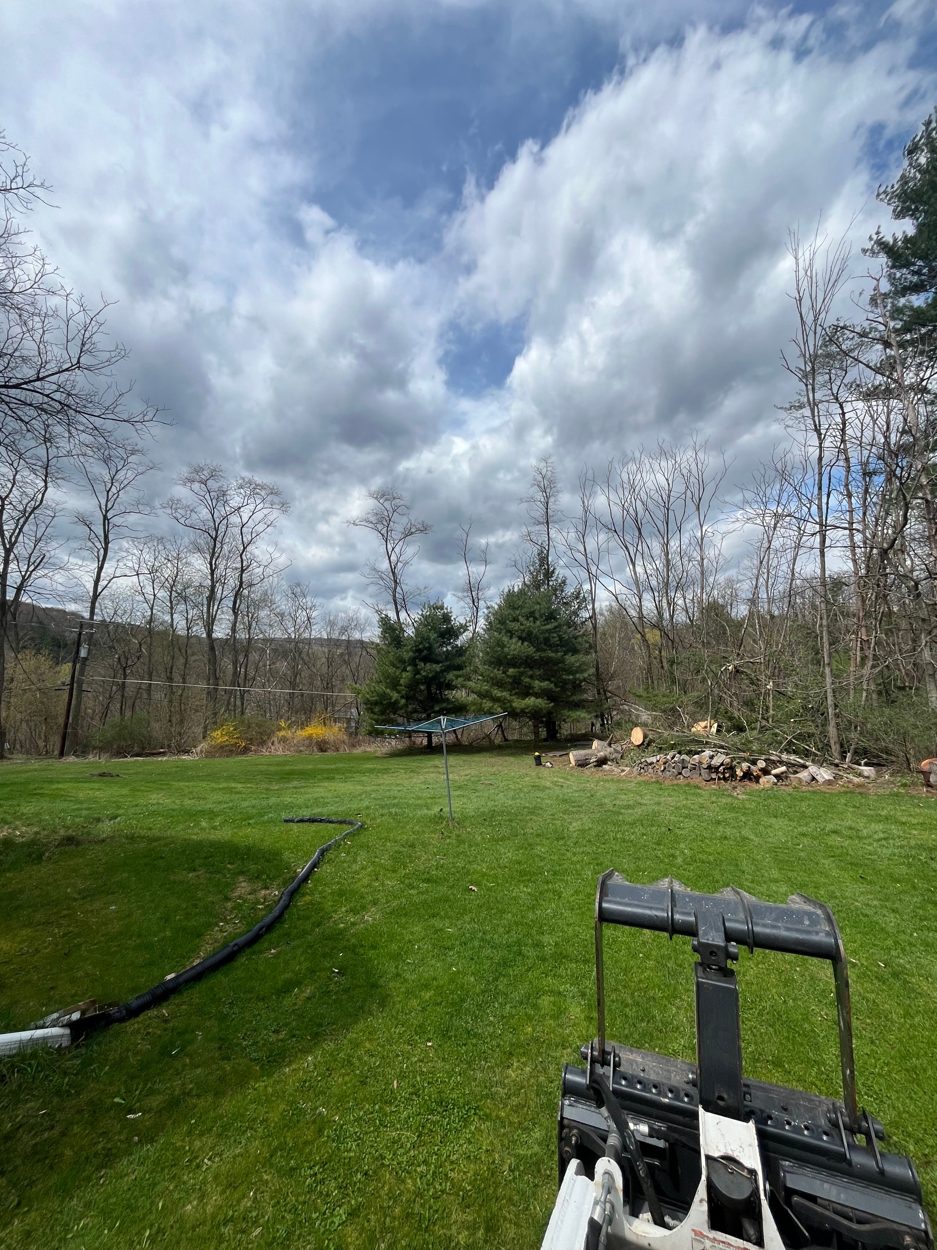 All Photos for Licensed to Cut Tree Service in Athens, PA