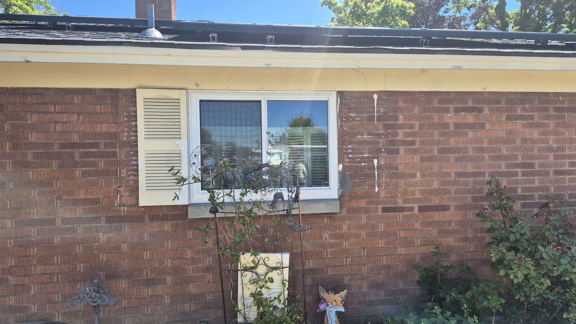  for Vivid Windows in Centerville, UT