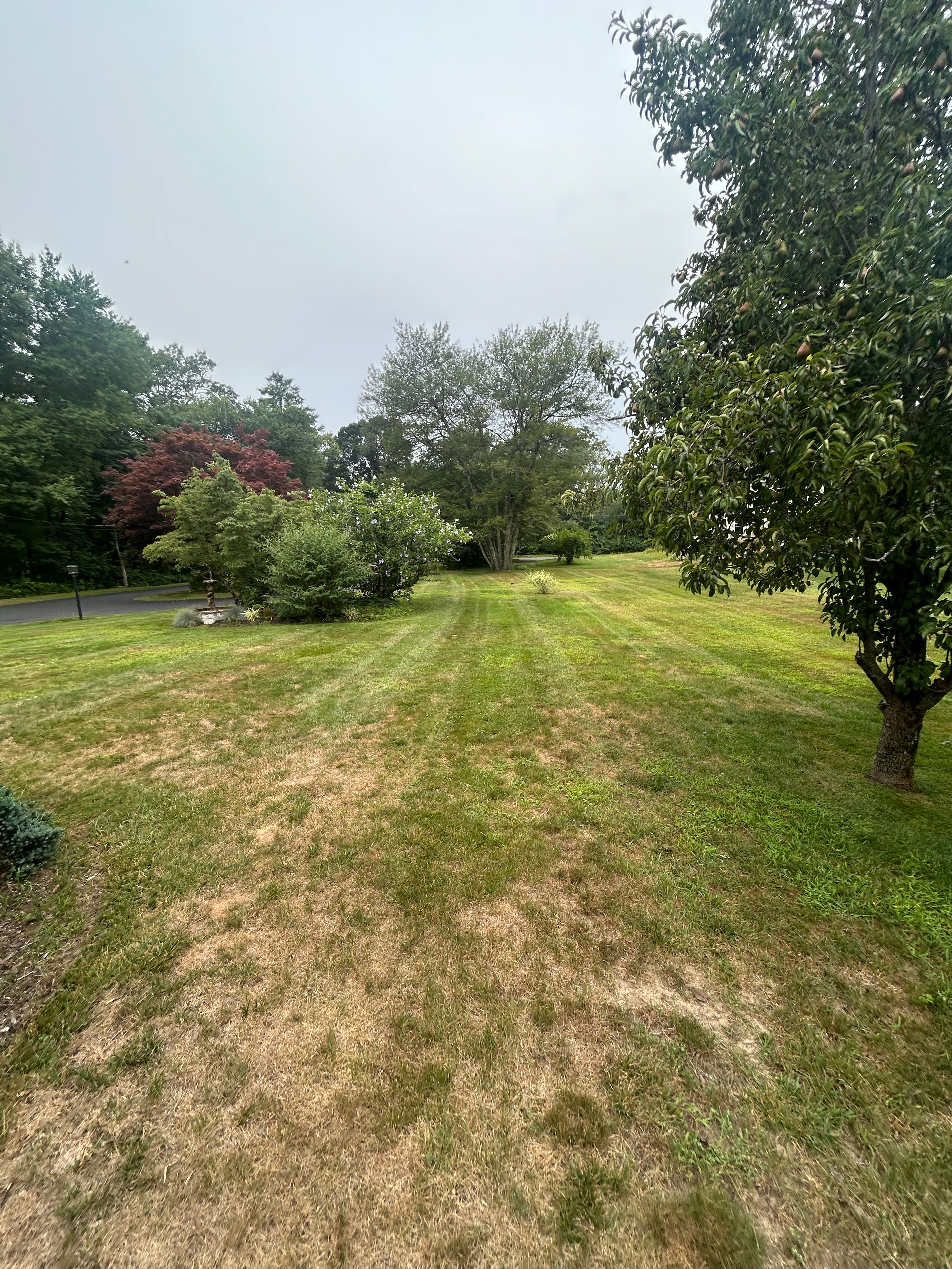  for Lucas Property Maintenance LLC in New Bedford, MA