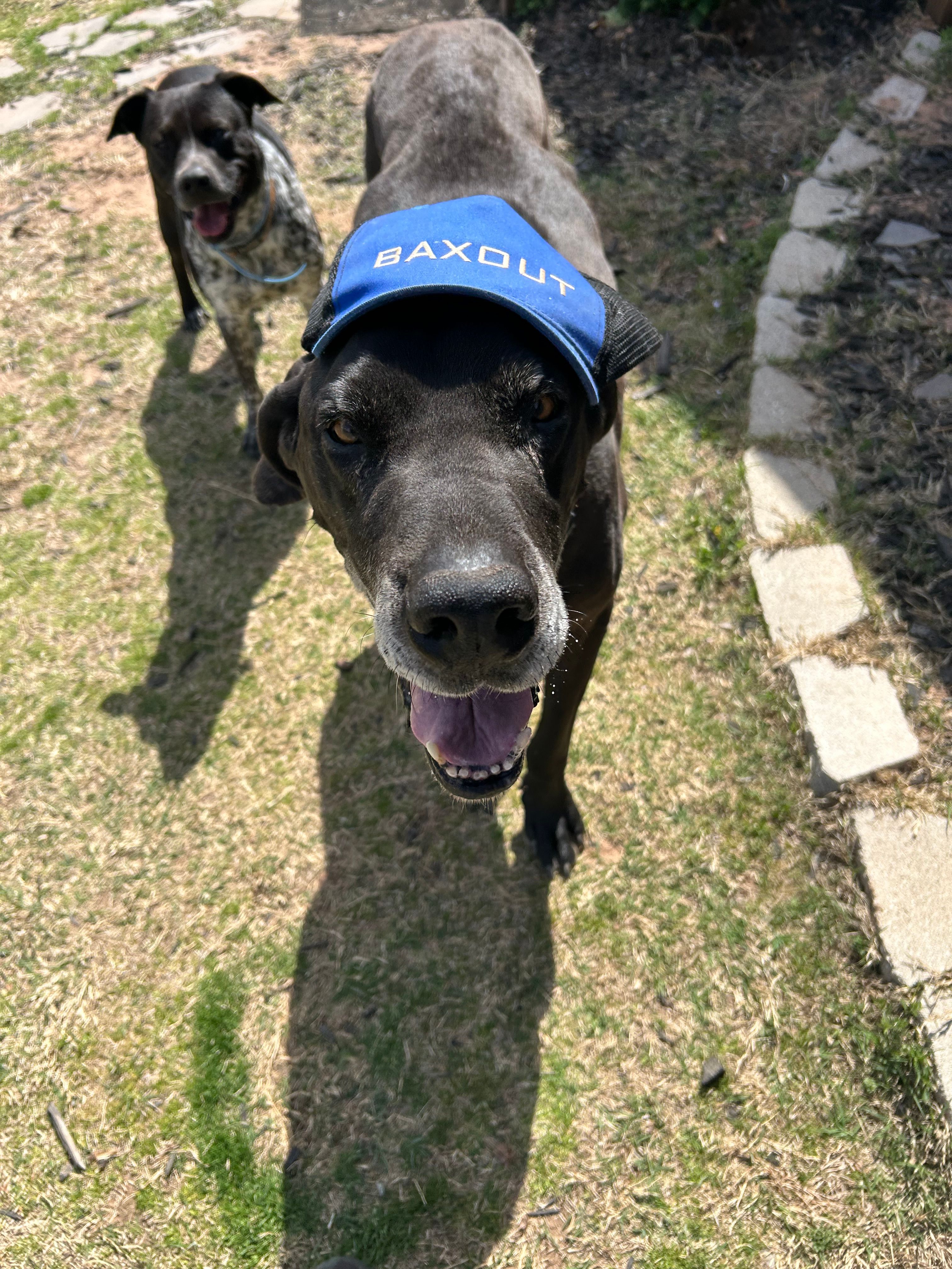  for Baxout Plumbing & Drain in Bristow, OK