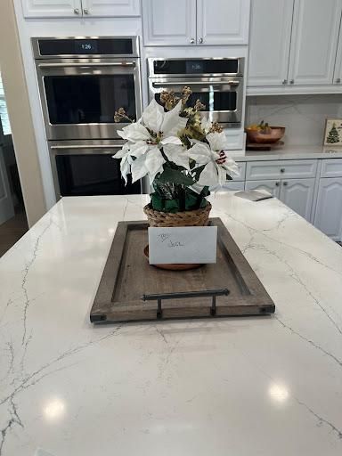  for The Painter in Citrus Heights, CA