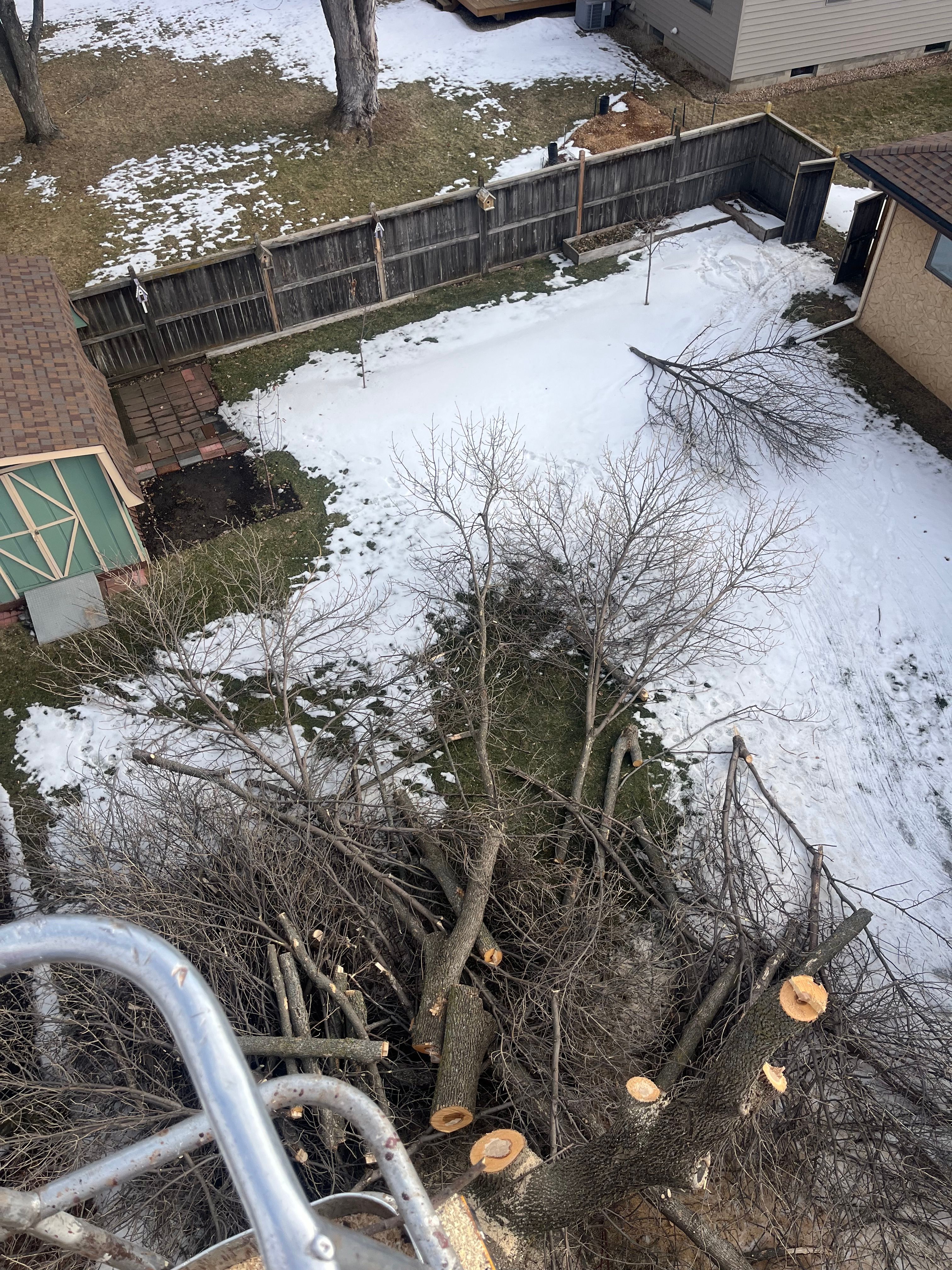 All Photos for K and Z Tree Care in Isanti County, MN