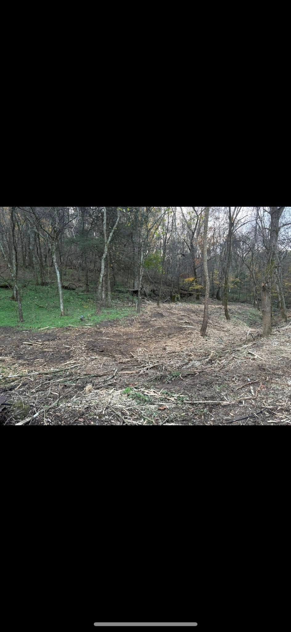  for Gregory Grass and Land in Lafayette, TN
