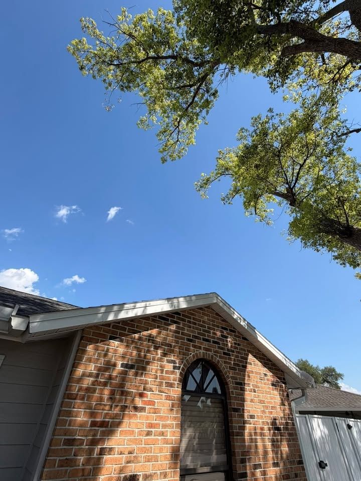  for Damian’s Tree Care in Sarasota, FL