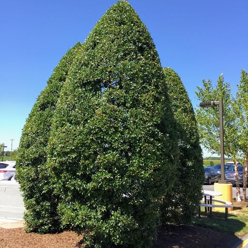  for Solid Ground Outdoor Living Solutions in Seaford, DE