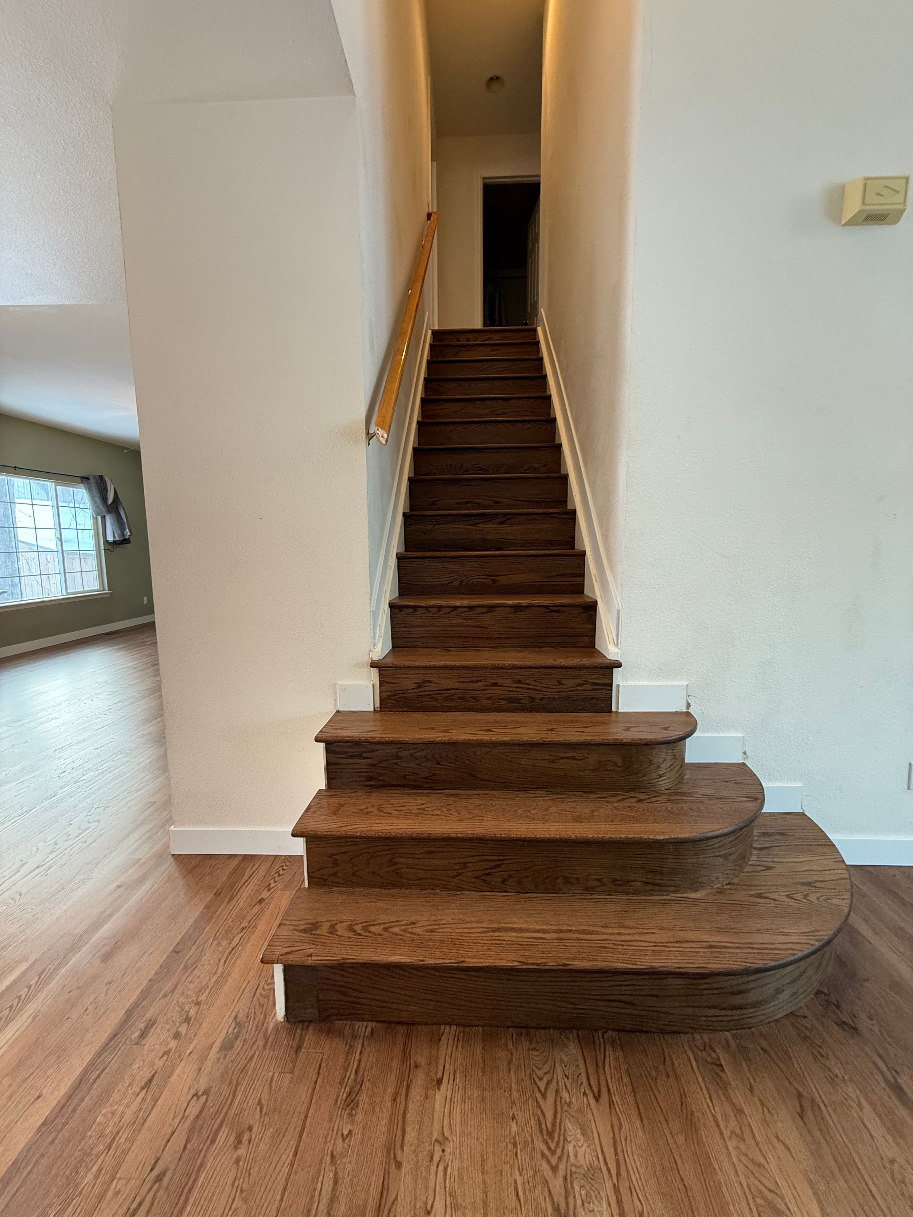  for Alpha Flooring & Painting Services. in Centennial, CO