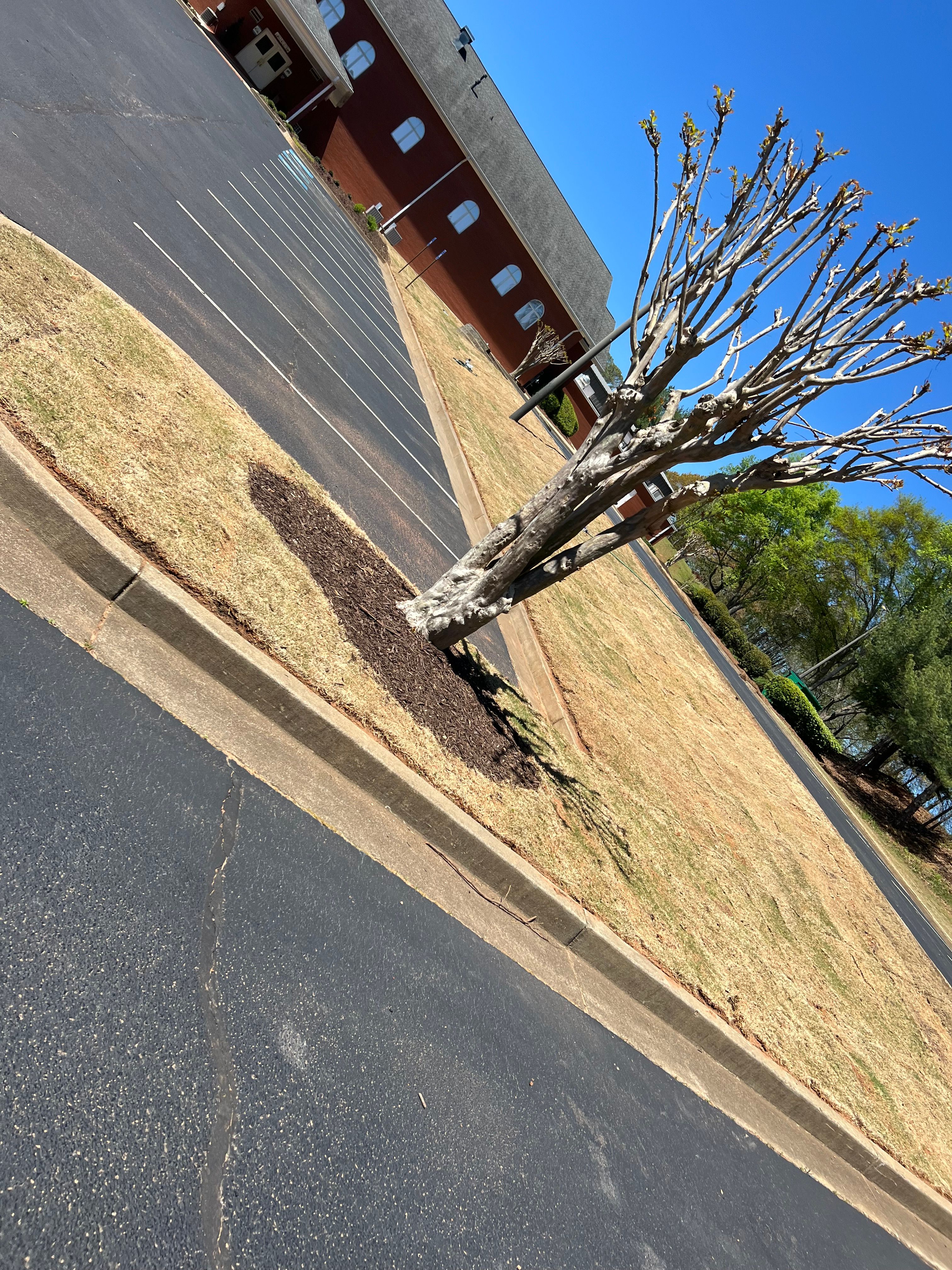 All Photos for Amerigreen Lawn & Landscape in Duluth, GA