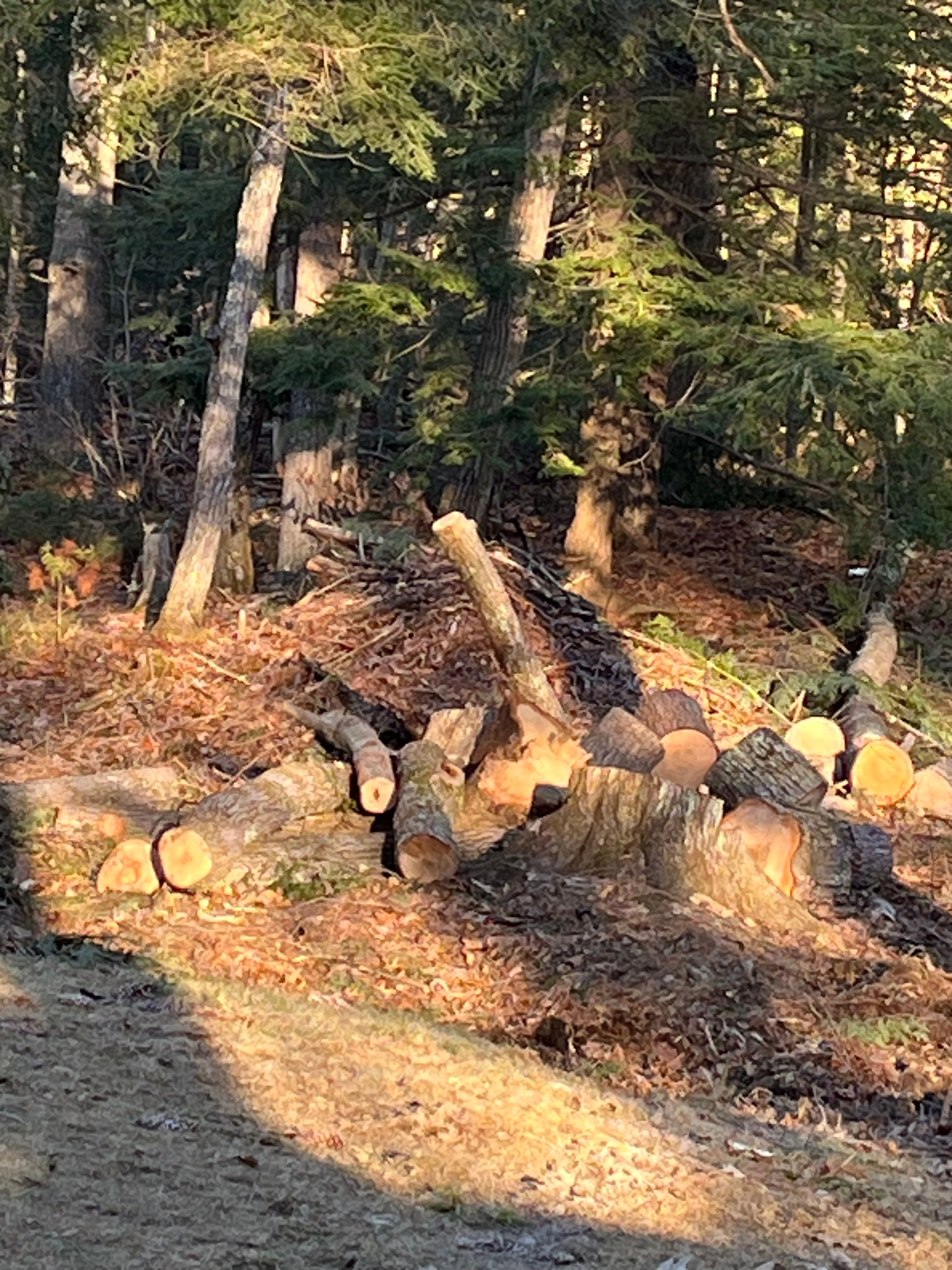 All Photos for Next Level Construction and Cleaning in Saco, ME