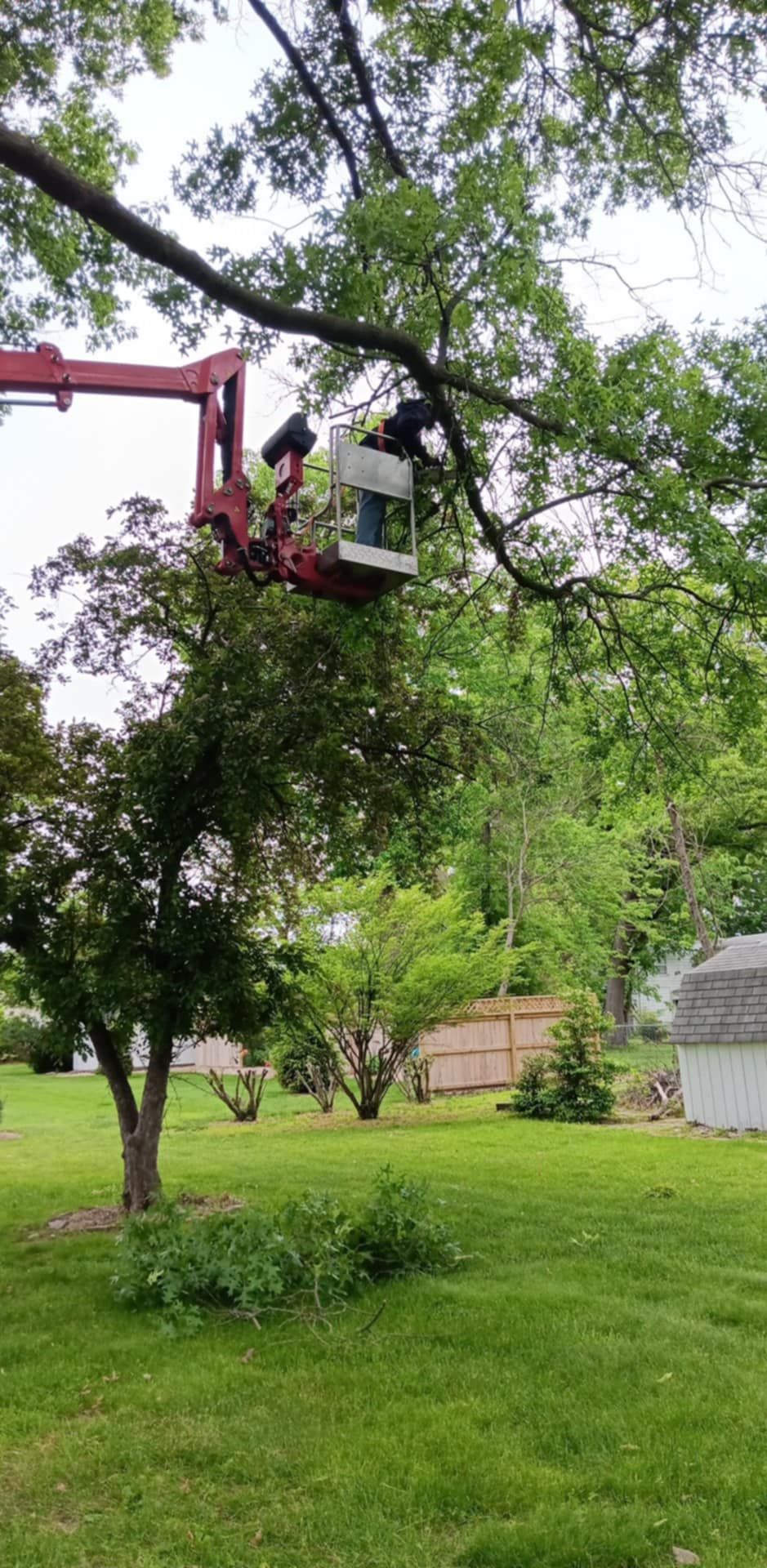  for Lawn Ranger Yard And Tree Service LLC in Ottumwa, IA