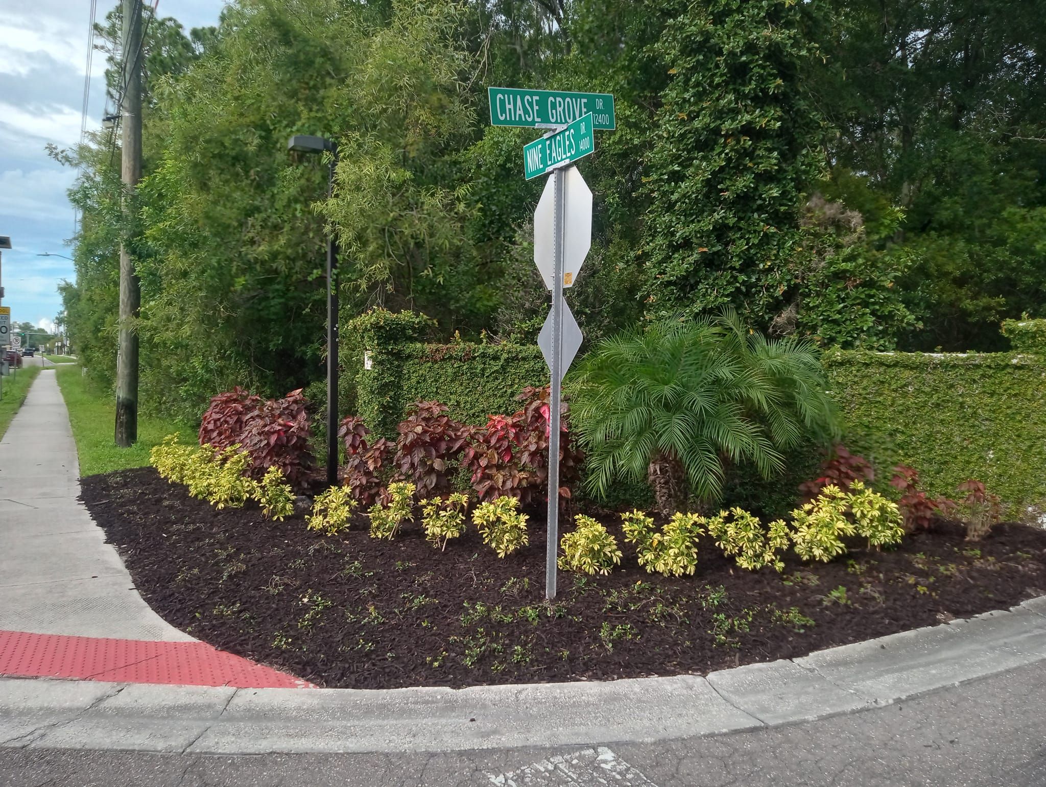 Landscaping for Lawn Dogz Lawns & Landscaping in Tampa, FL