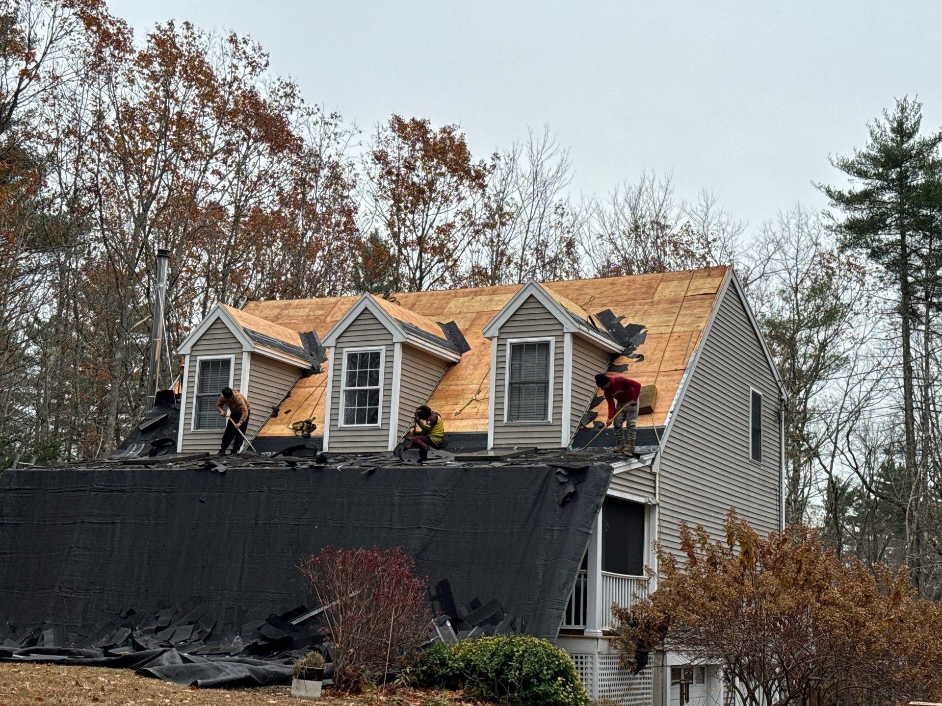  for Jalbert Contracting LLC in Alton, NH