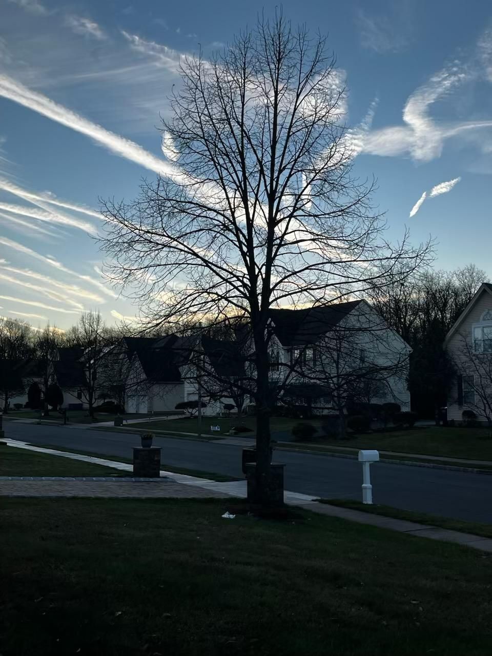  for Unique Outdoor Lighting in Short Hills, NJ