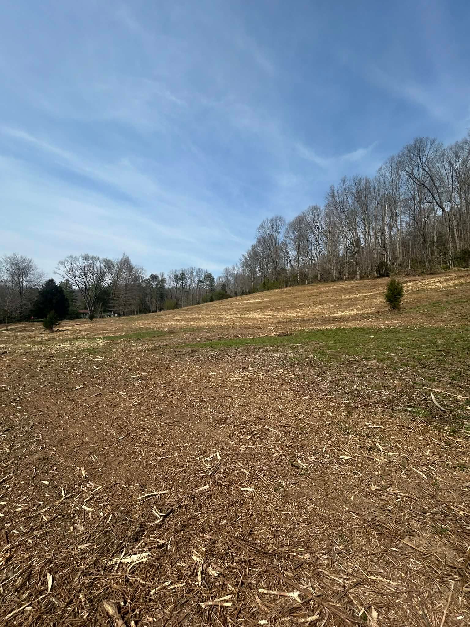  for Z's Land Management & Forestry Mulching in Smithville, TN
