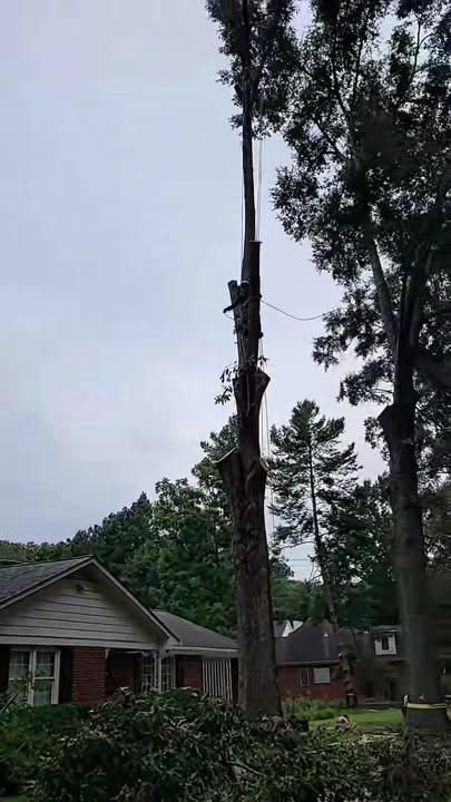  for Integrity Tree and Landscaping in Lynchburg, VA