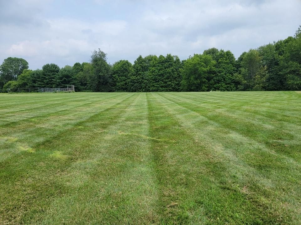 All Photos for Tingley's Green Land Services in Springfield, Ohio