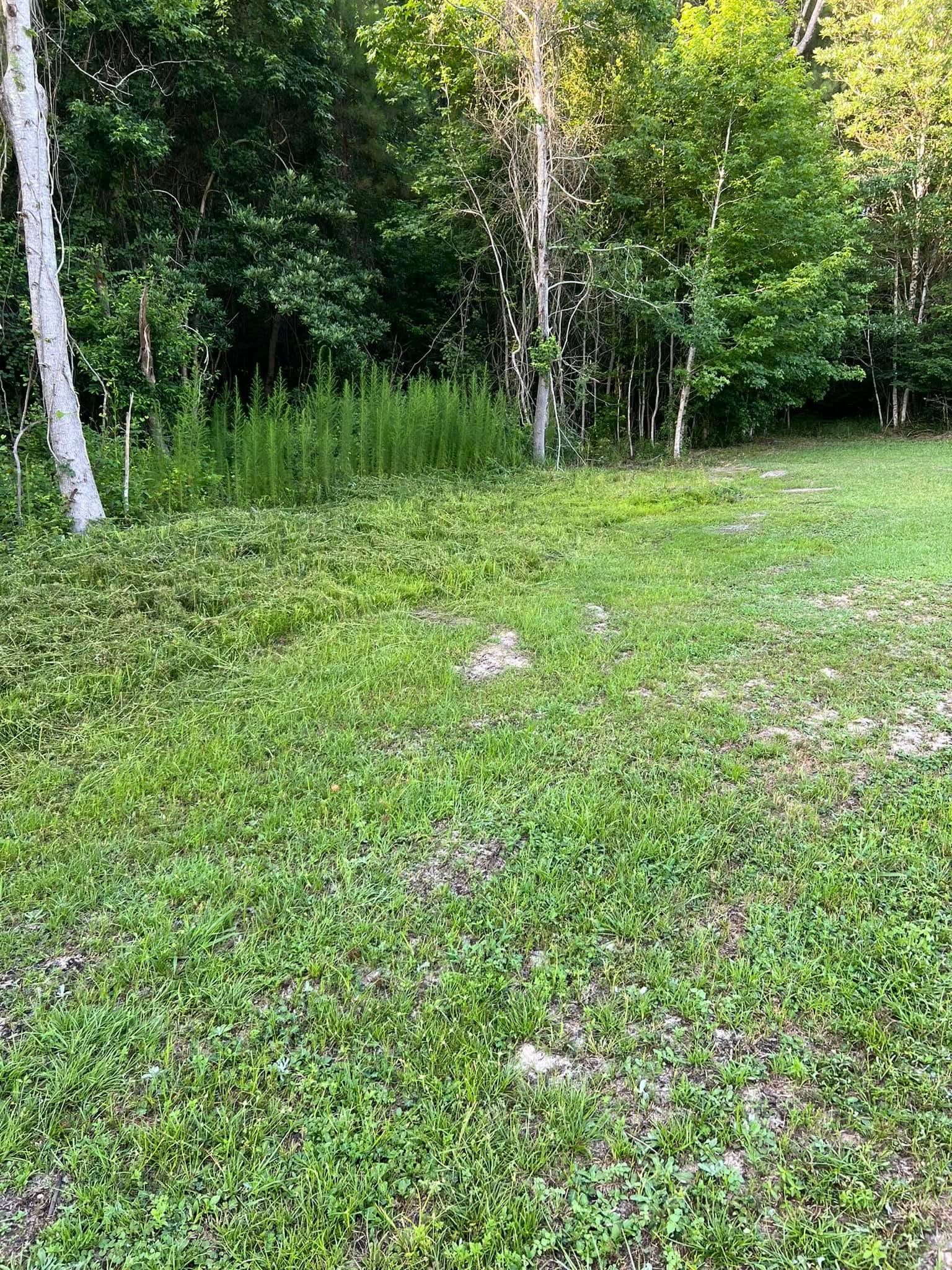 for Joseys Lawn and Tree Care in Chipley, FL