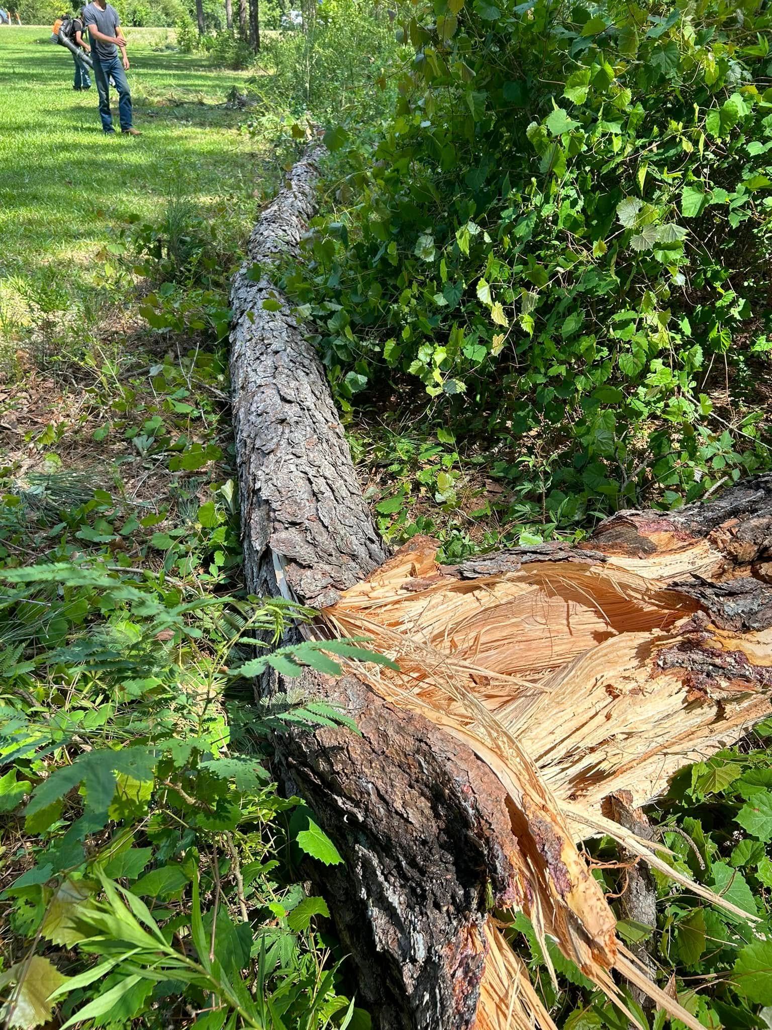  for Old Florida Lawncare in Baker, FL