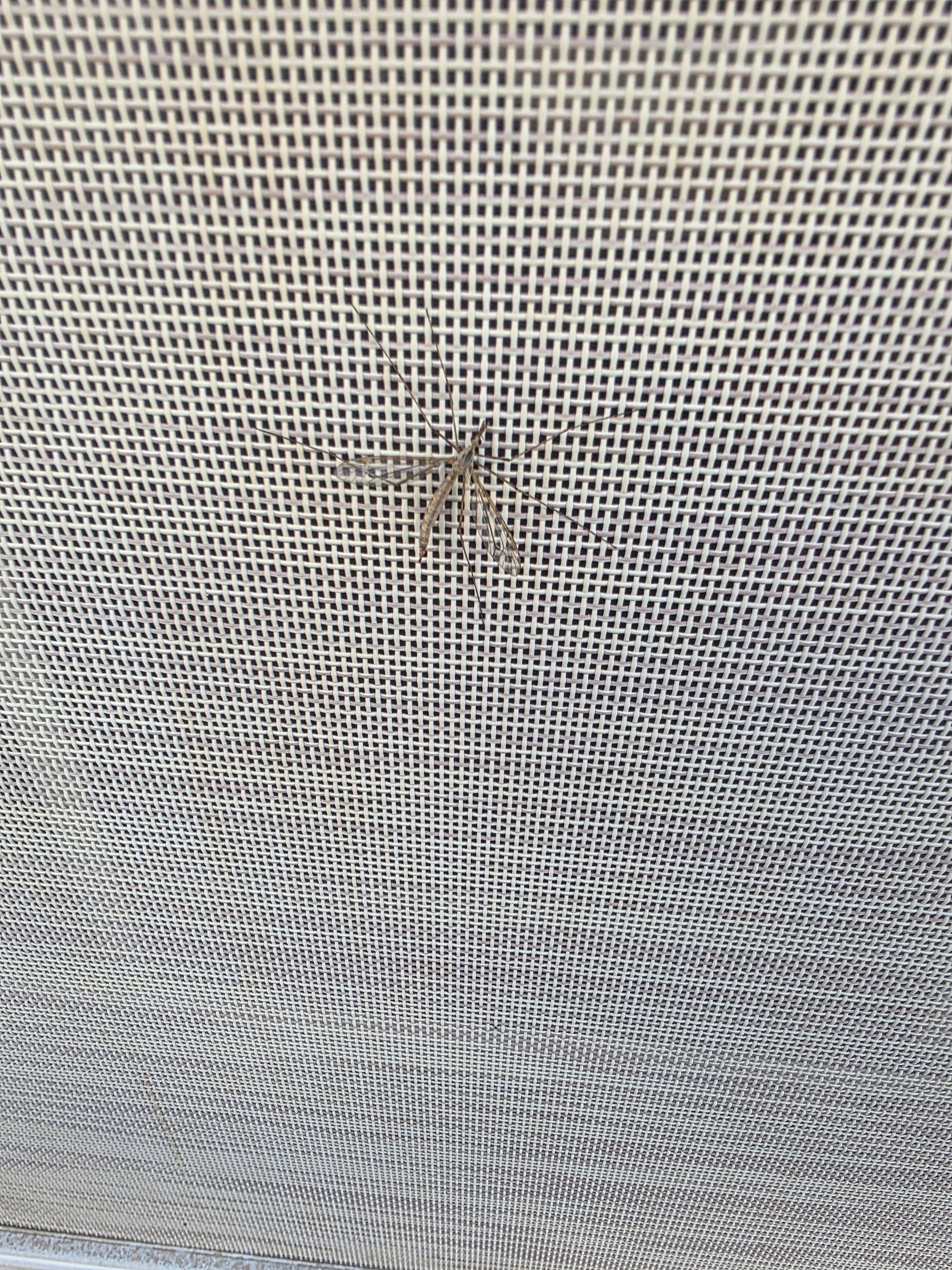  for Niko's Pest Control in Las Vegas, NV