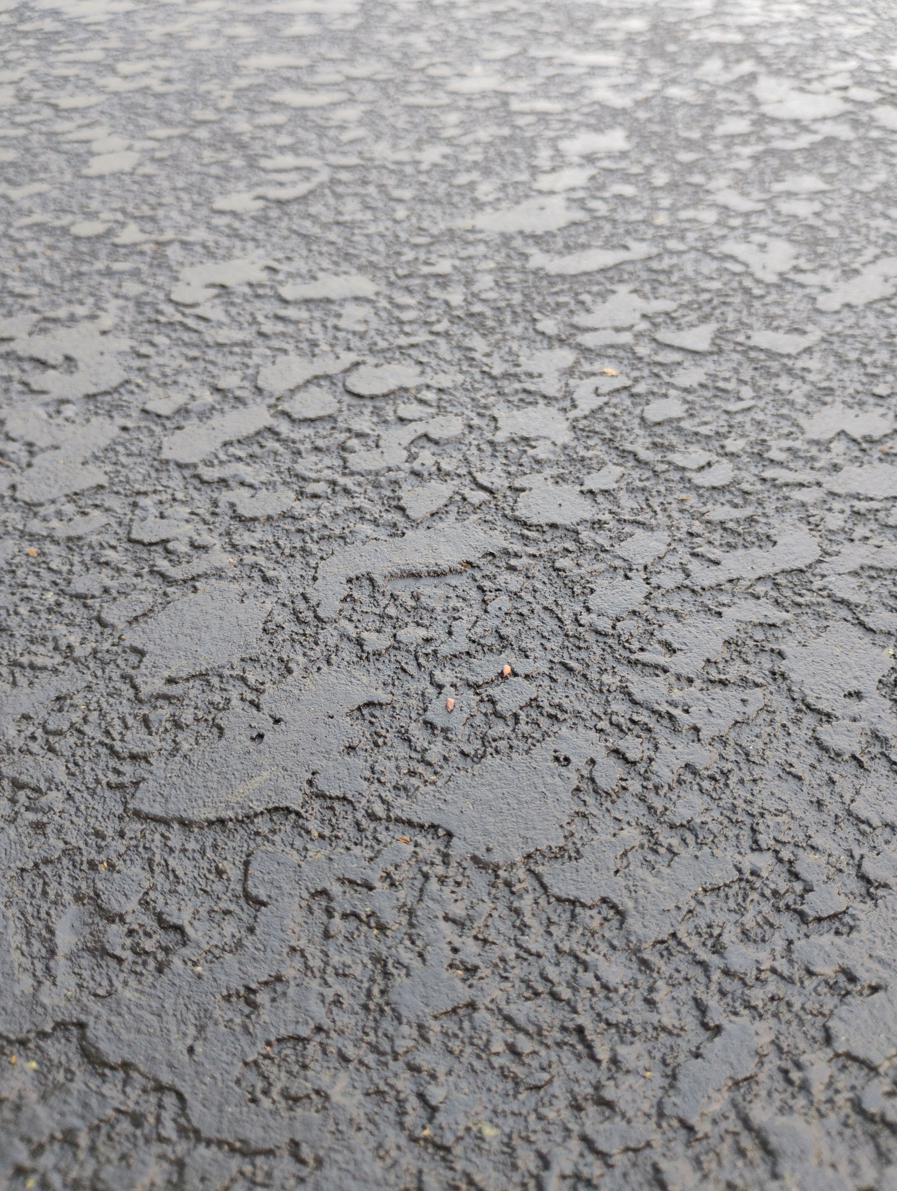  for American Acrylic Concrete Coatings in Longwood, FL