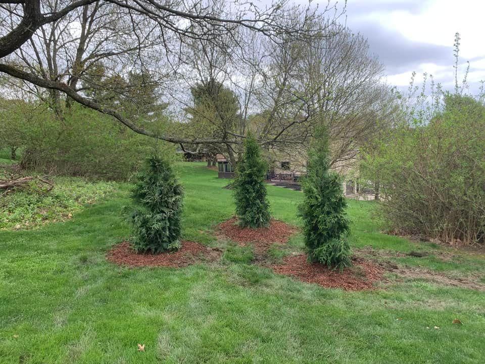  for Trueman Landscaping in Wexford, PA