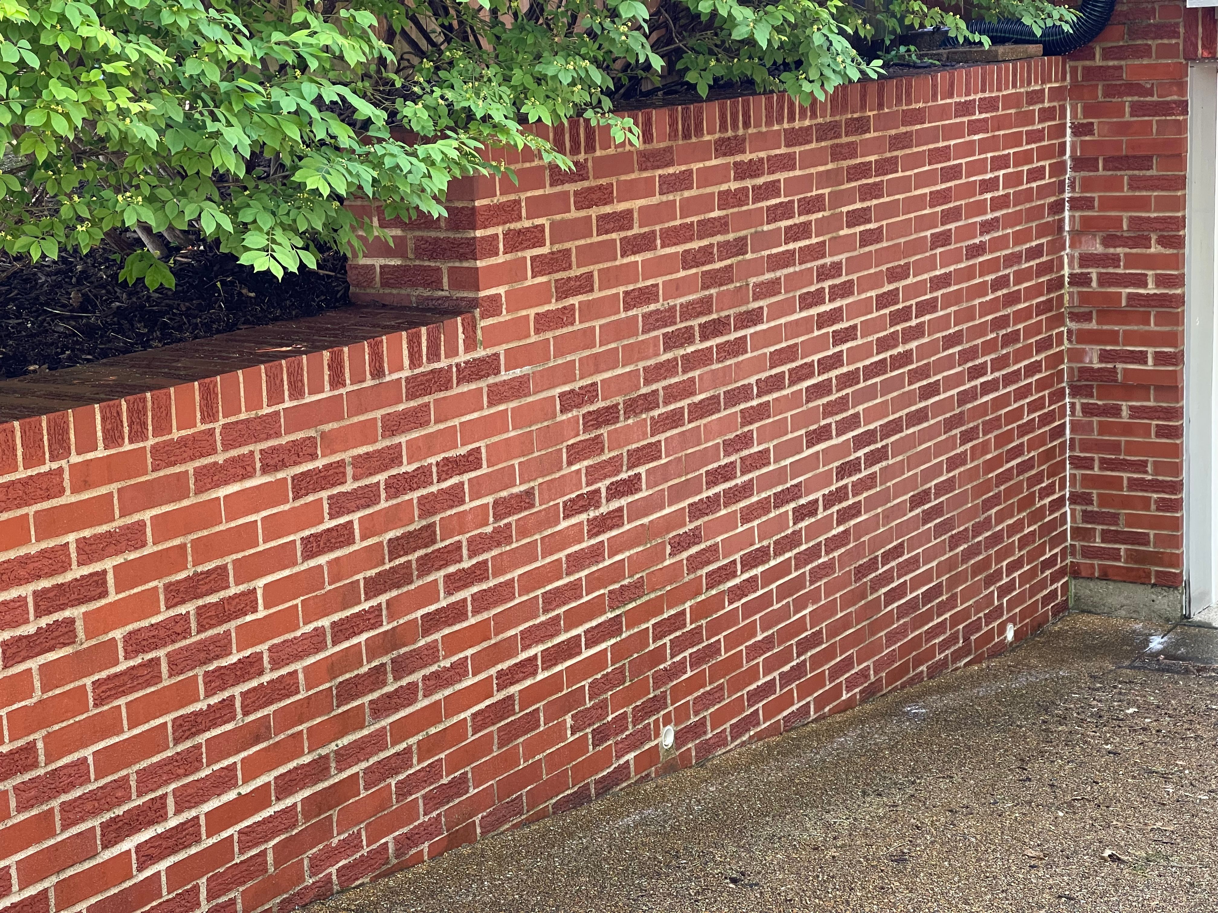  for See2it Clean in St Louis, MO