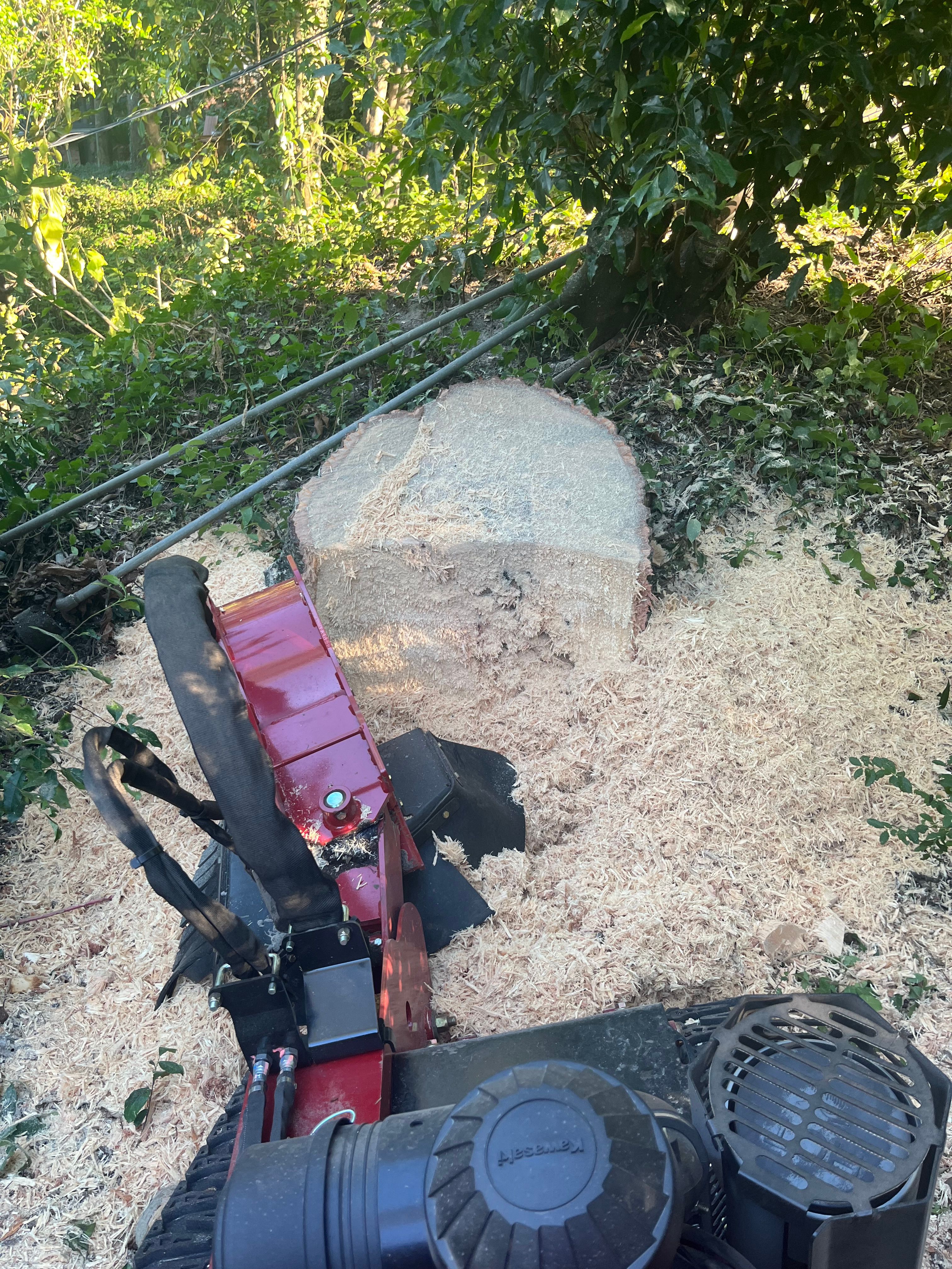 All Photos for Otis Lee Stump Grinding LLC in Elgin, SC