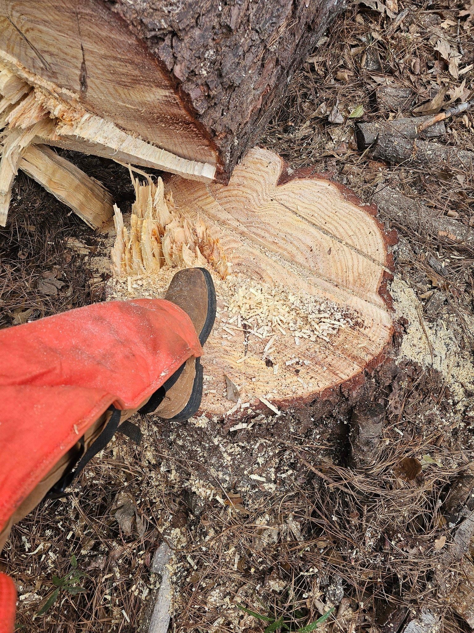  for O'Connor Clearing and Hauling LLC in Anderson County, SC