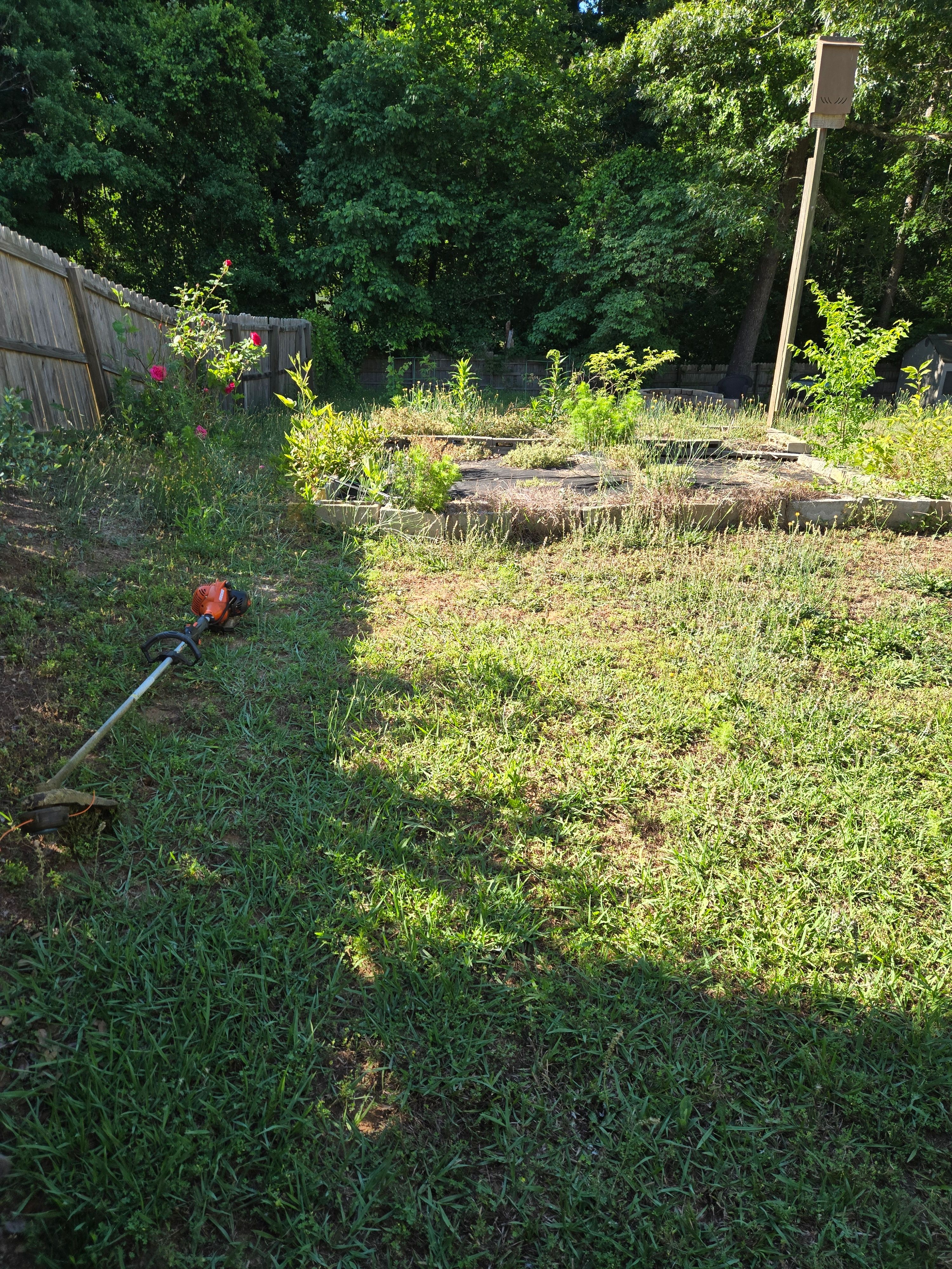  for Palmour's Lawn Care in Gainesville, GA