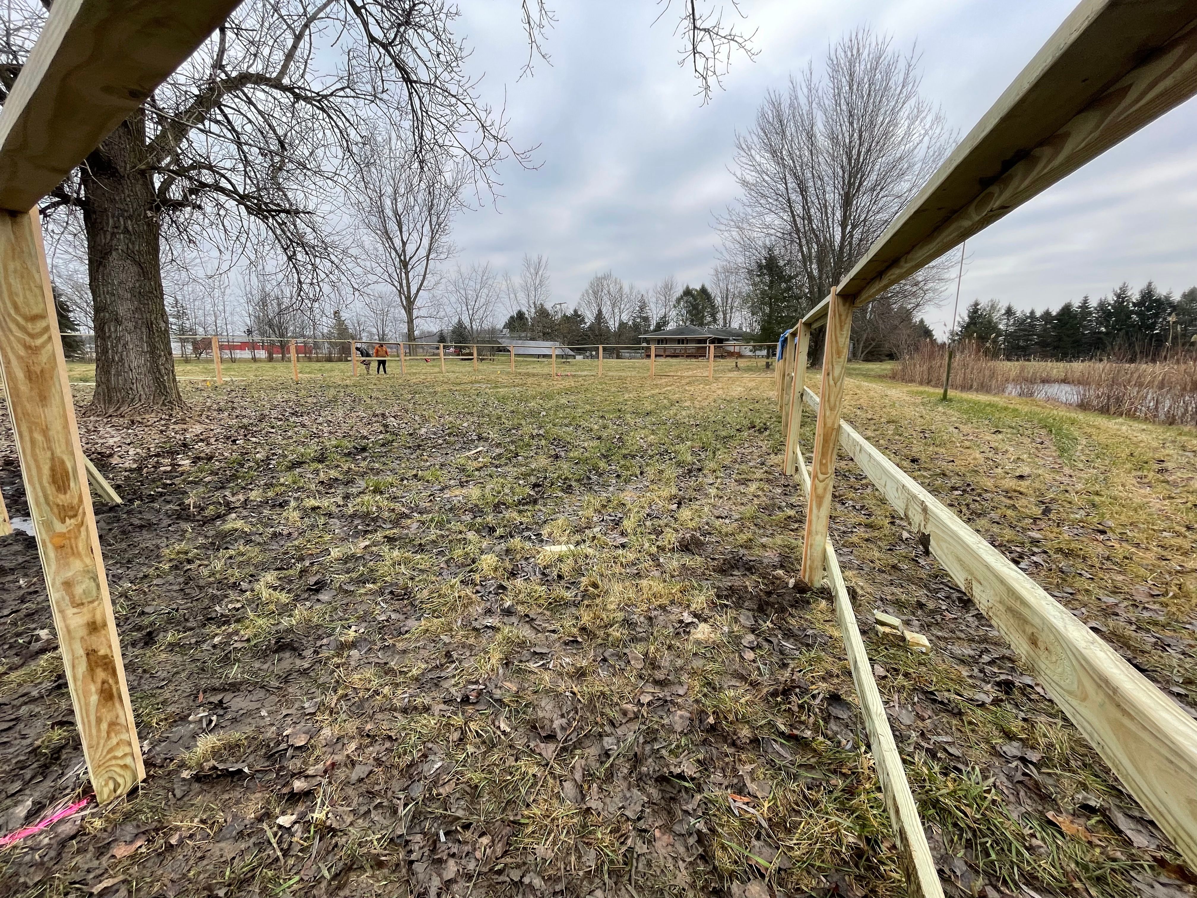  for TMF Services in Lapeer County, MI