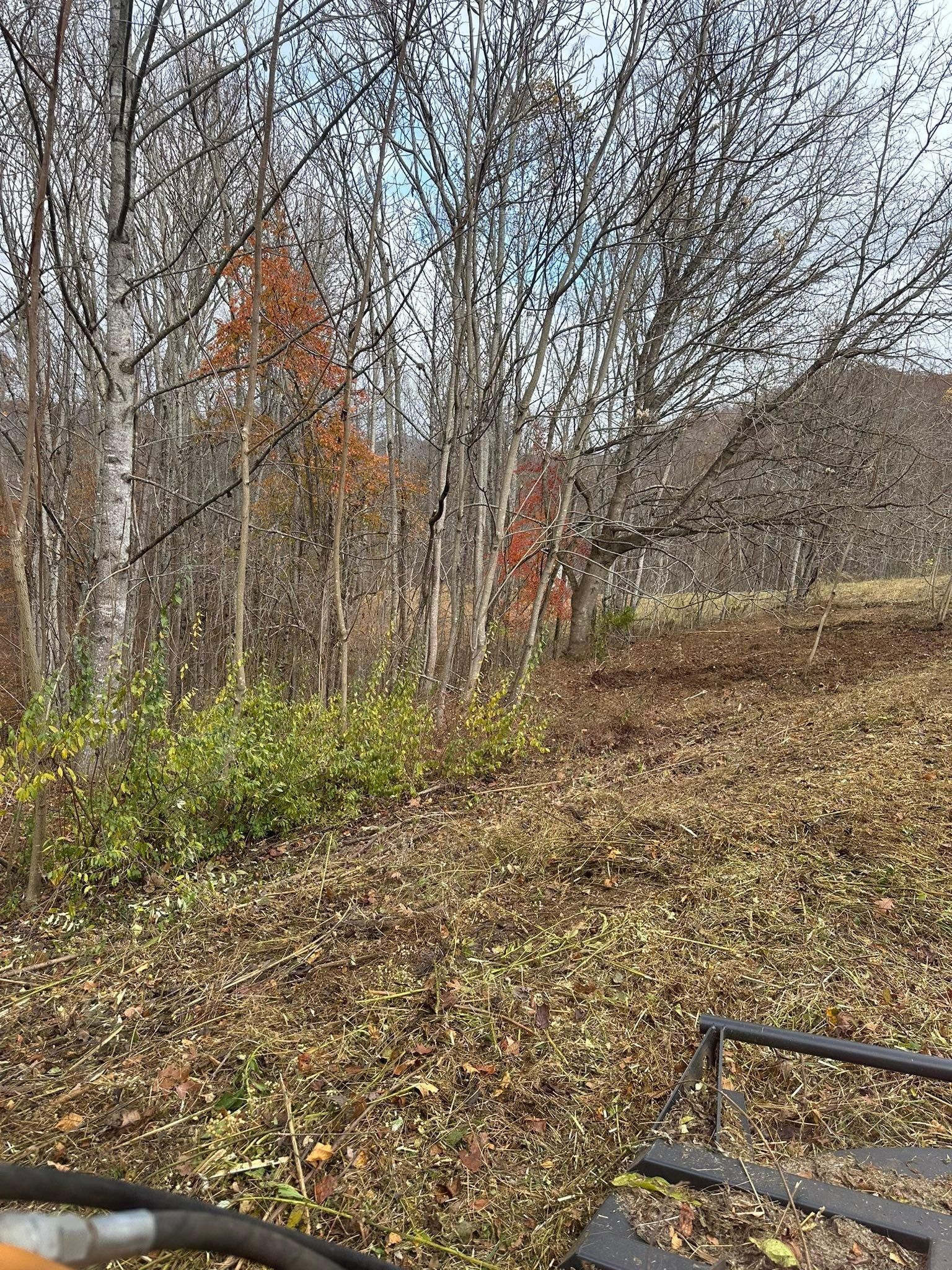  for Excavation Innovations in Rogersville, TN