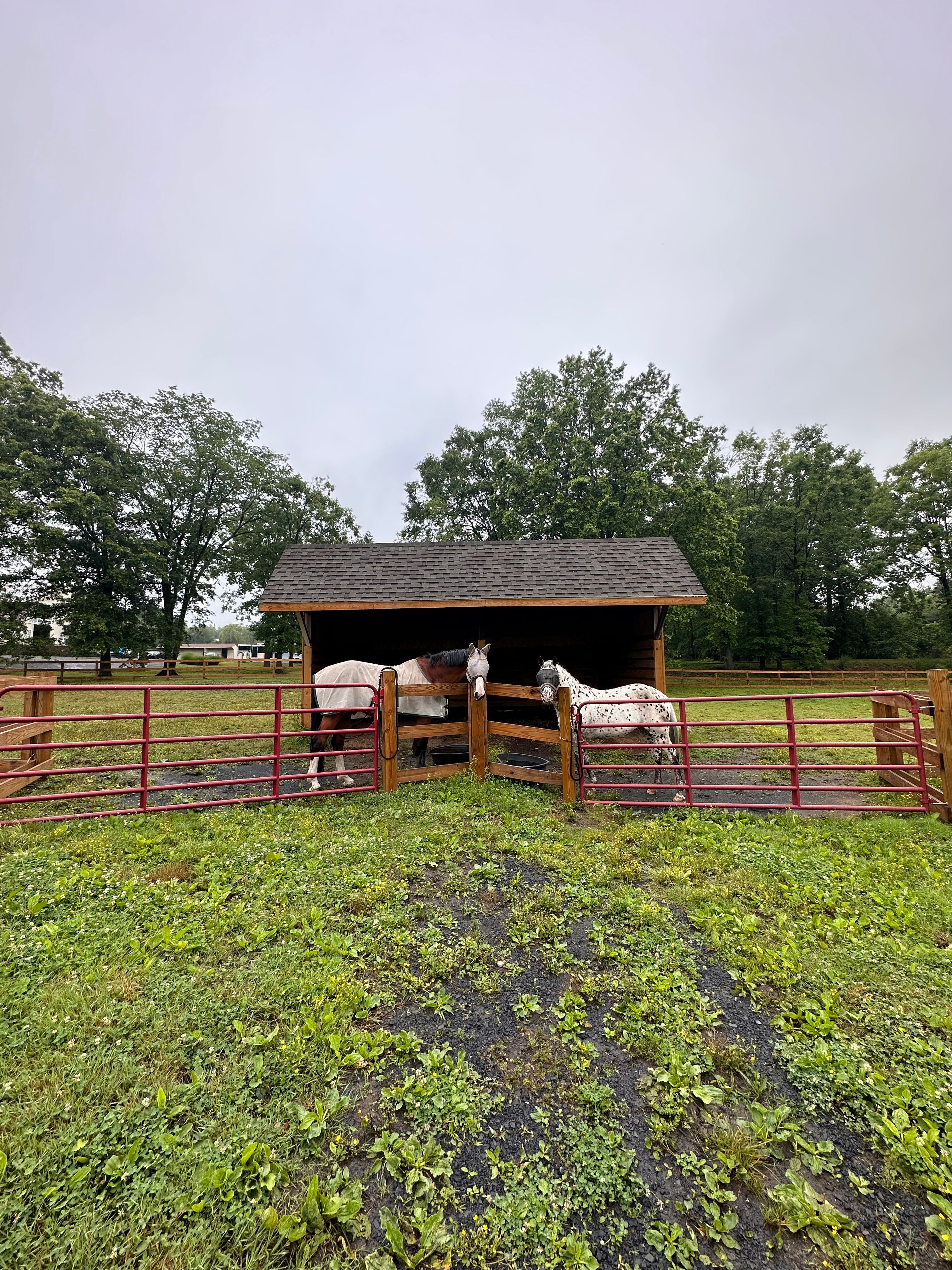 Wooden fence for Wantage Fence & Stonework, LLC in Wantage, New Jersey