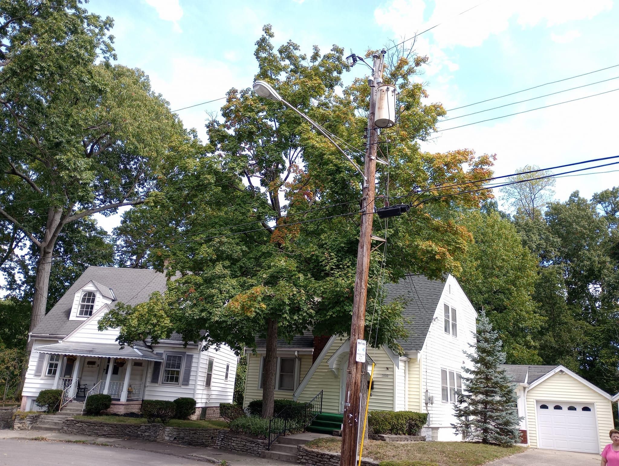  for Kingdom Tree Trimming and Removal LLC in Covington, KY