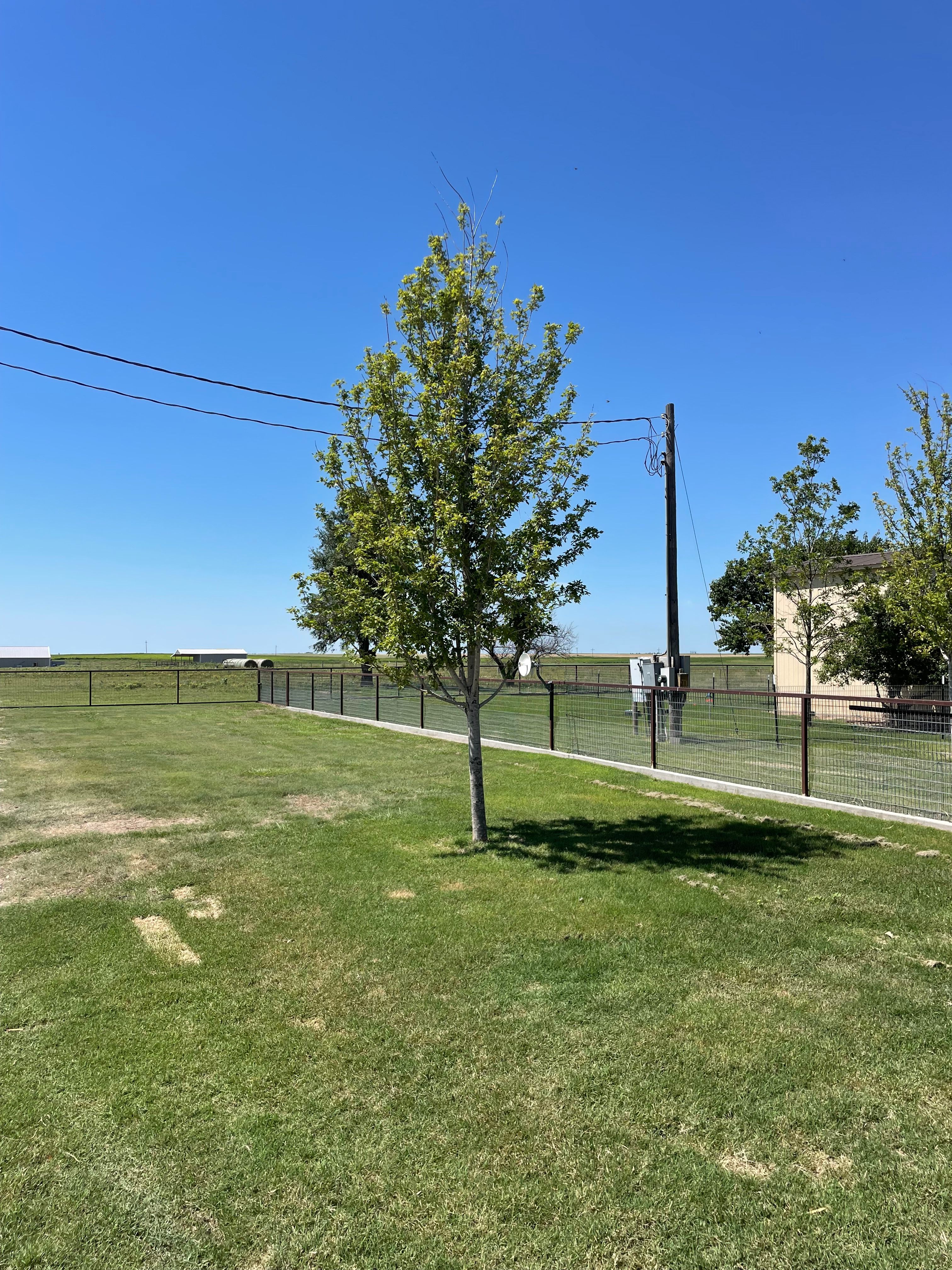  for R&J Hydromulch in Booker, TX