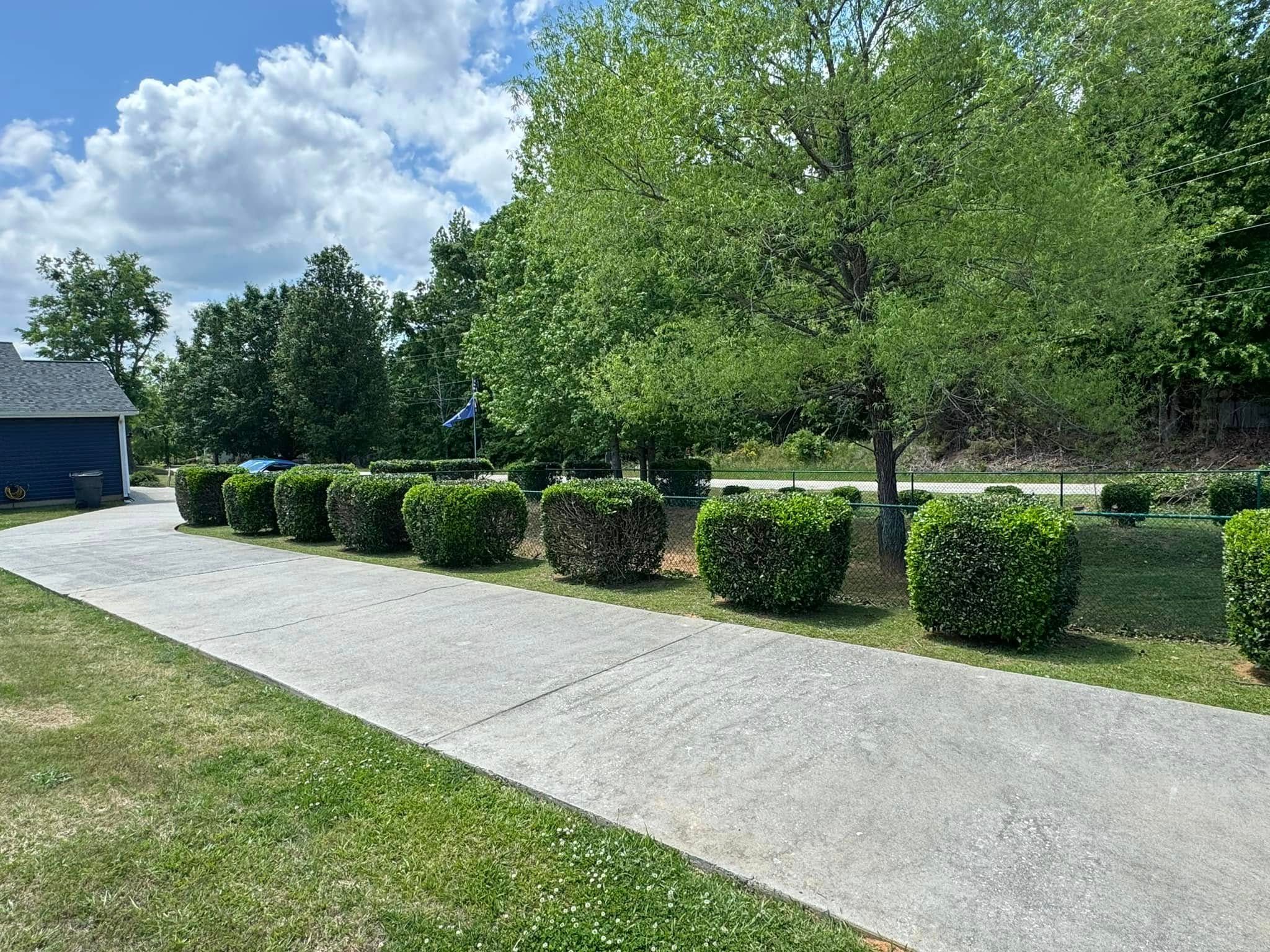  for Thin Green Line Landscaping & More in Laurens, SC