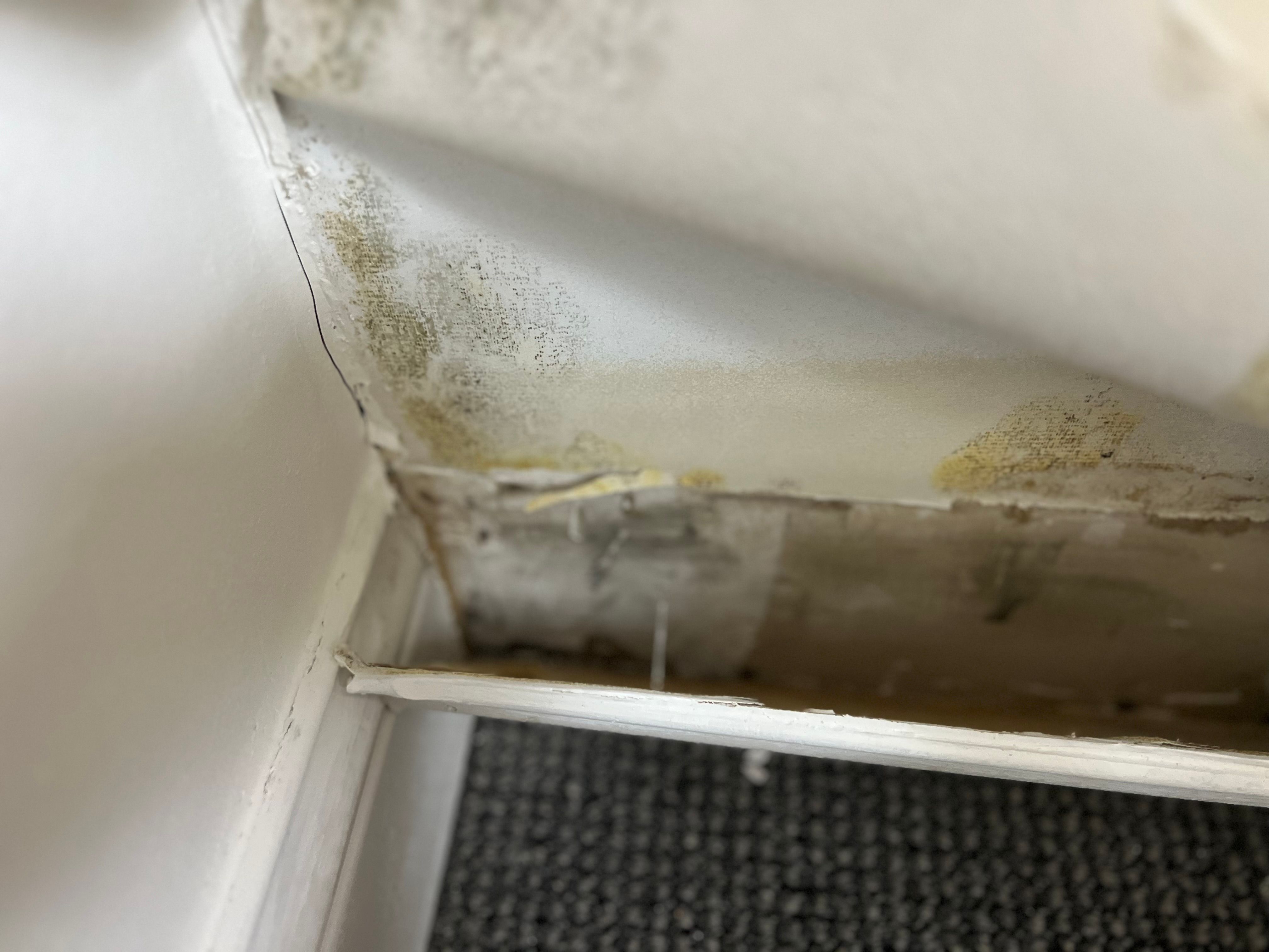  for N&D Restoration Services When Disaster Strikes, We Come In in Cape Coral,  FL