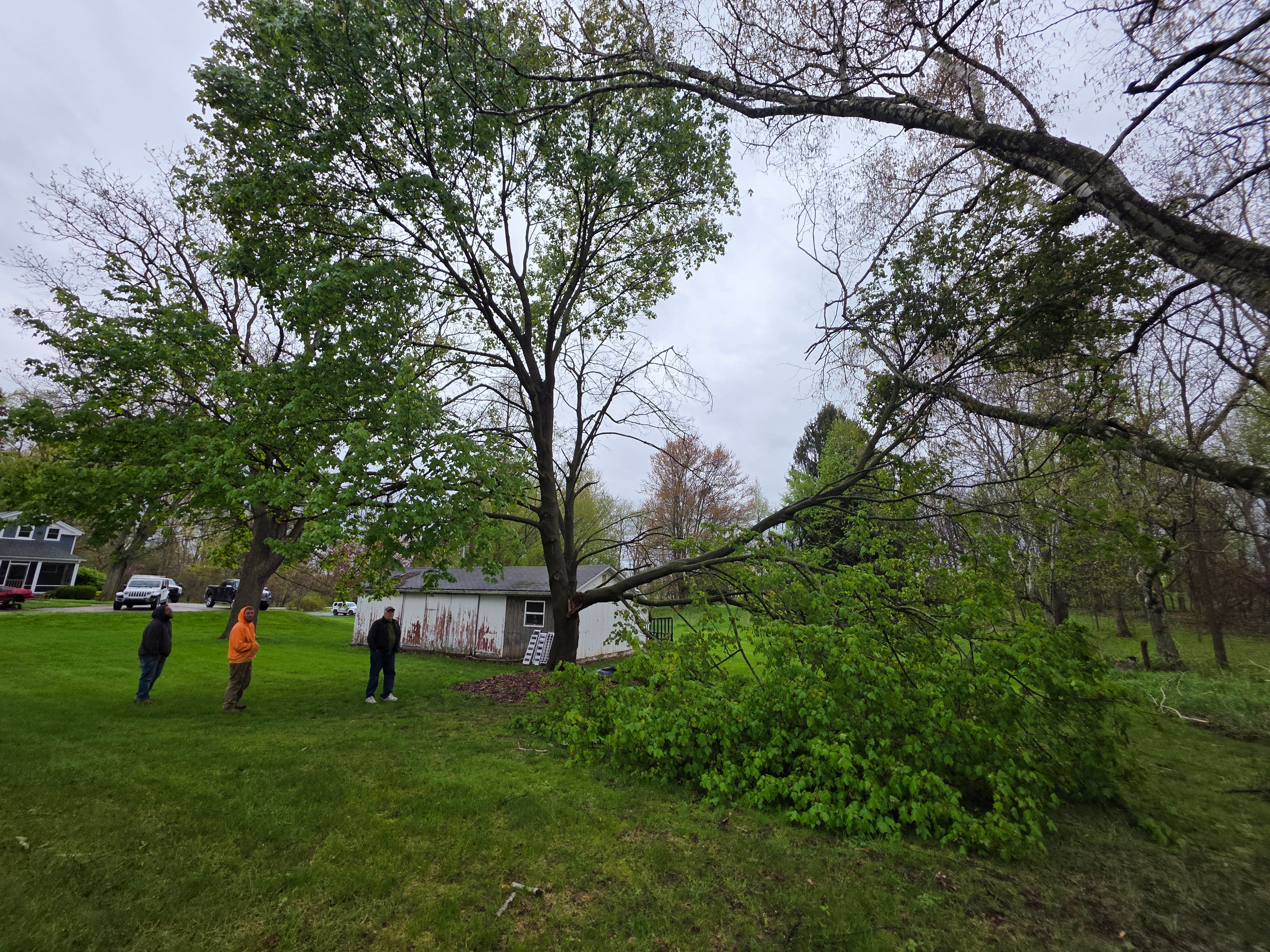  for D Hale Tree Service in Ann Arbor, MI