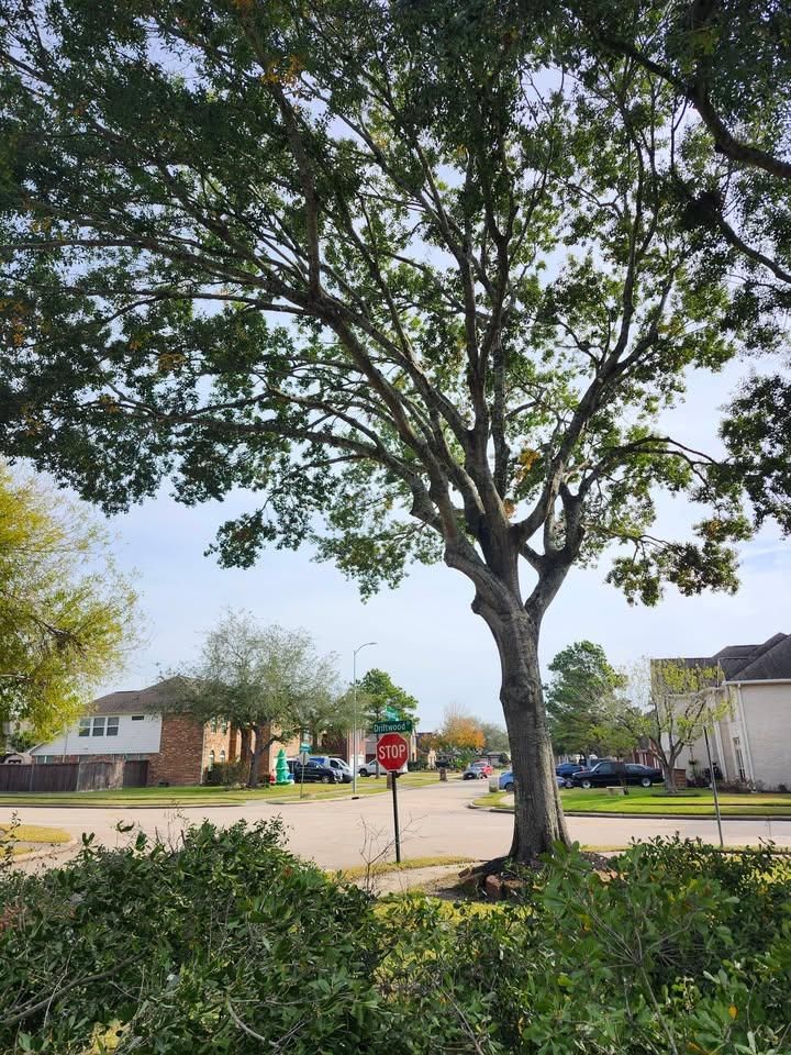  for Bonita Bay Lawn Maintenance LLC in La Porte, TX