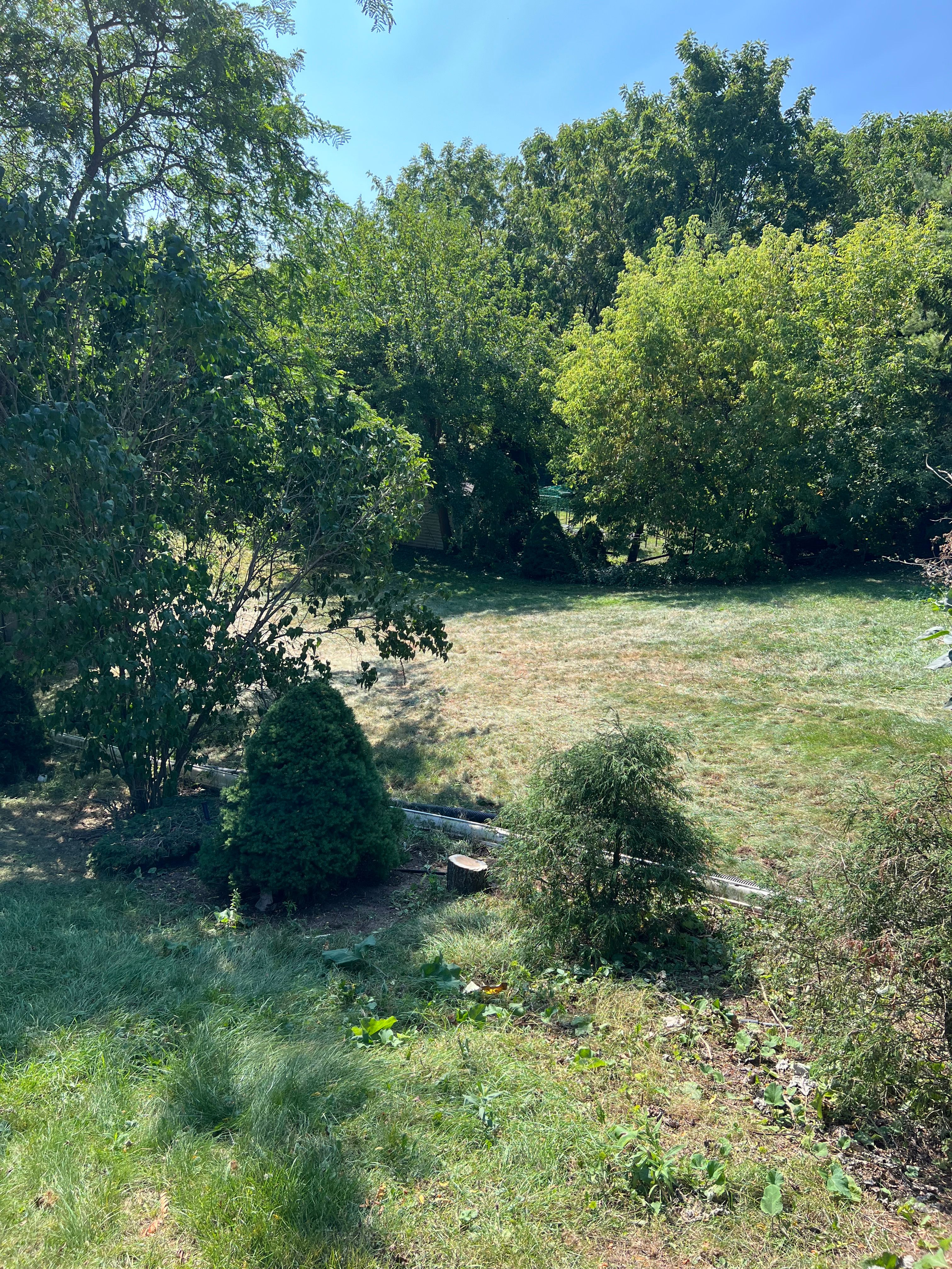  for CMN Exterior Maintenance in Hamilton, ON