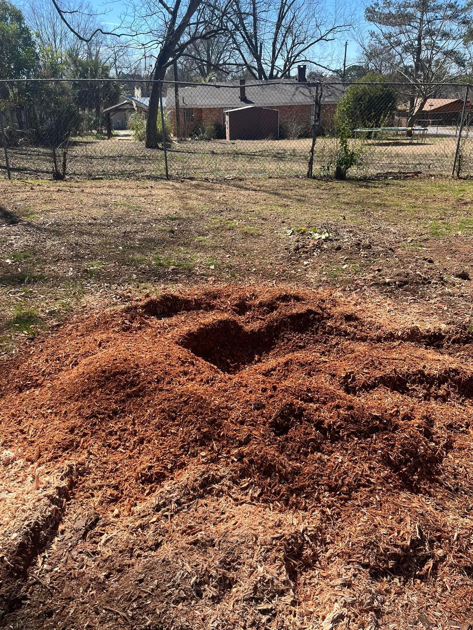 All Photos for Otis Lee Stump Grinding LLC in Elgin, SC